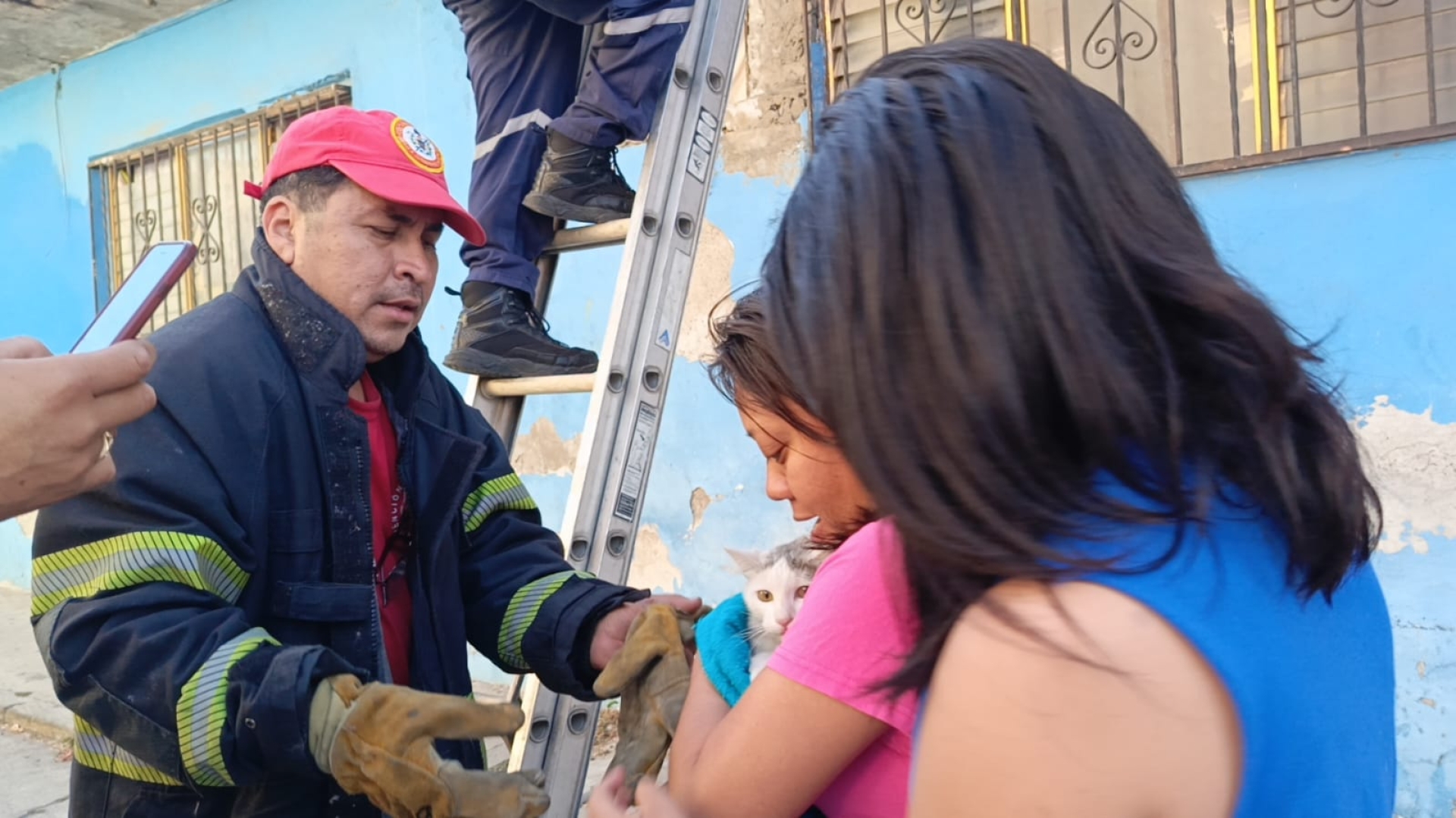 Rescatan bomberos a gatita 'Luna'