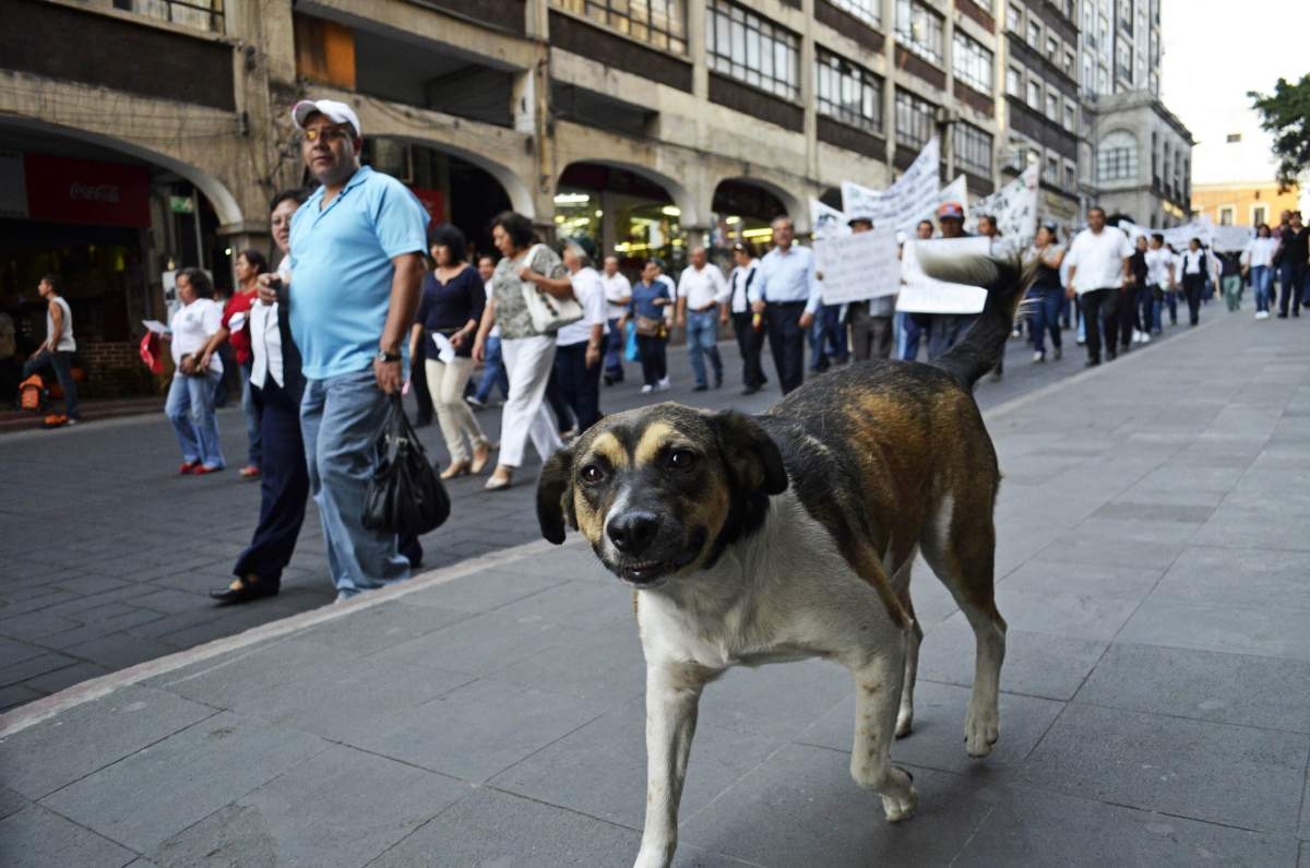Fallece el “Manchas”, personaje urbano de Cuernavaca