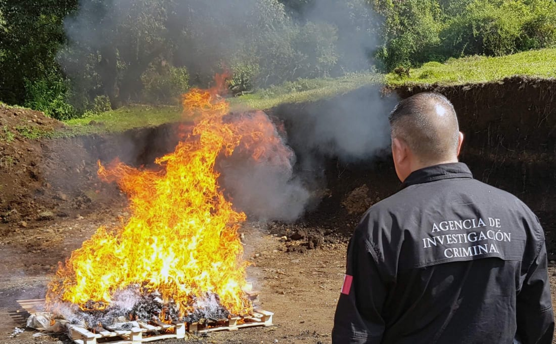 Efectúa FGR incineración de diversas drogas y objetos del delito