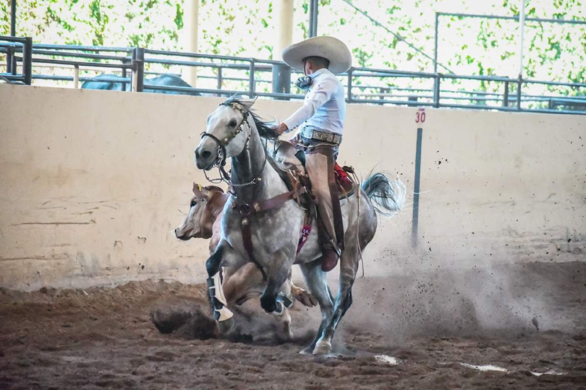 Oro histórico en charrería
