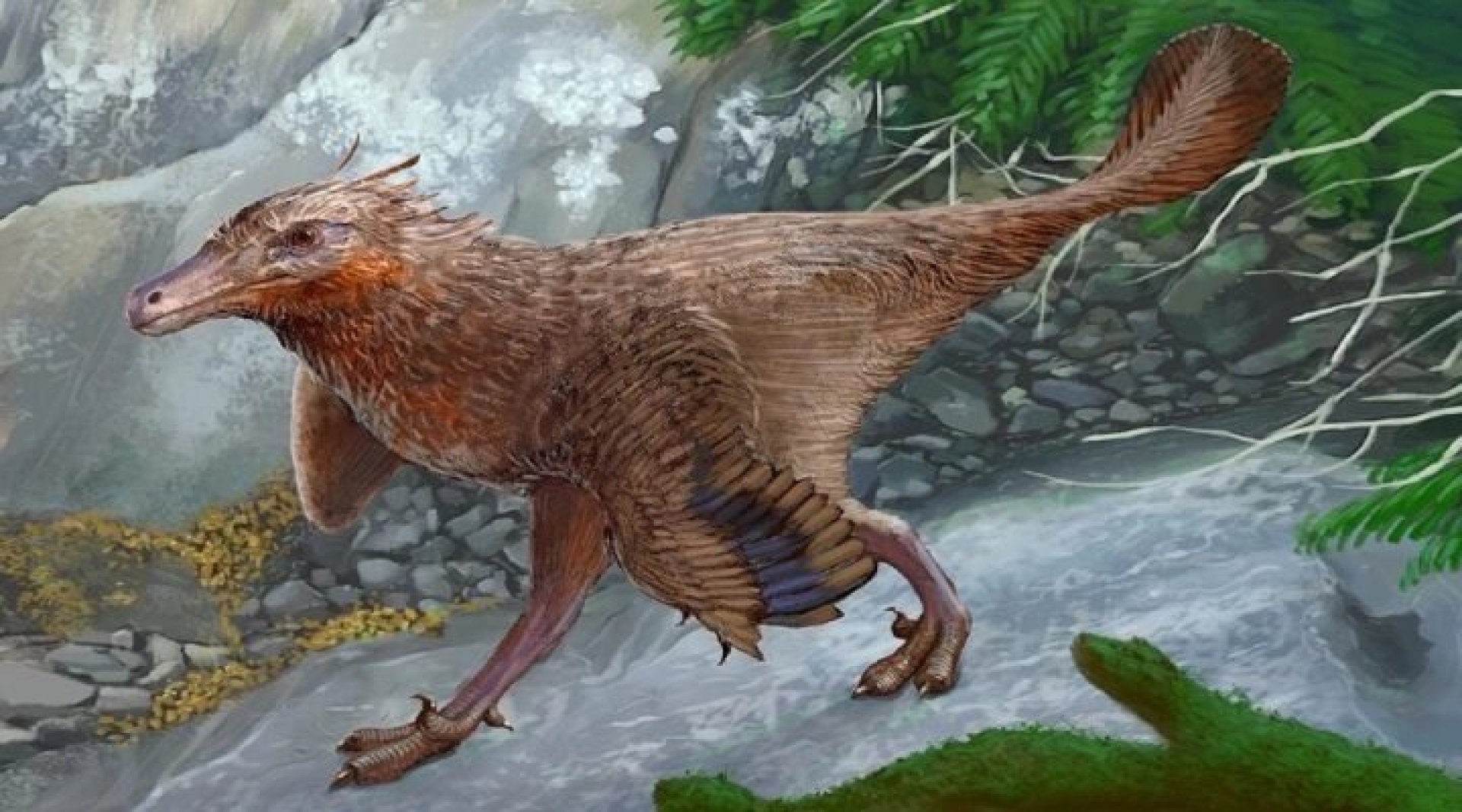 Hallan nueva especie de dinosaurio carnívoro en Argentina