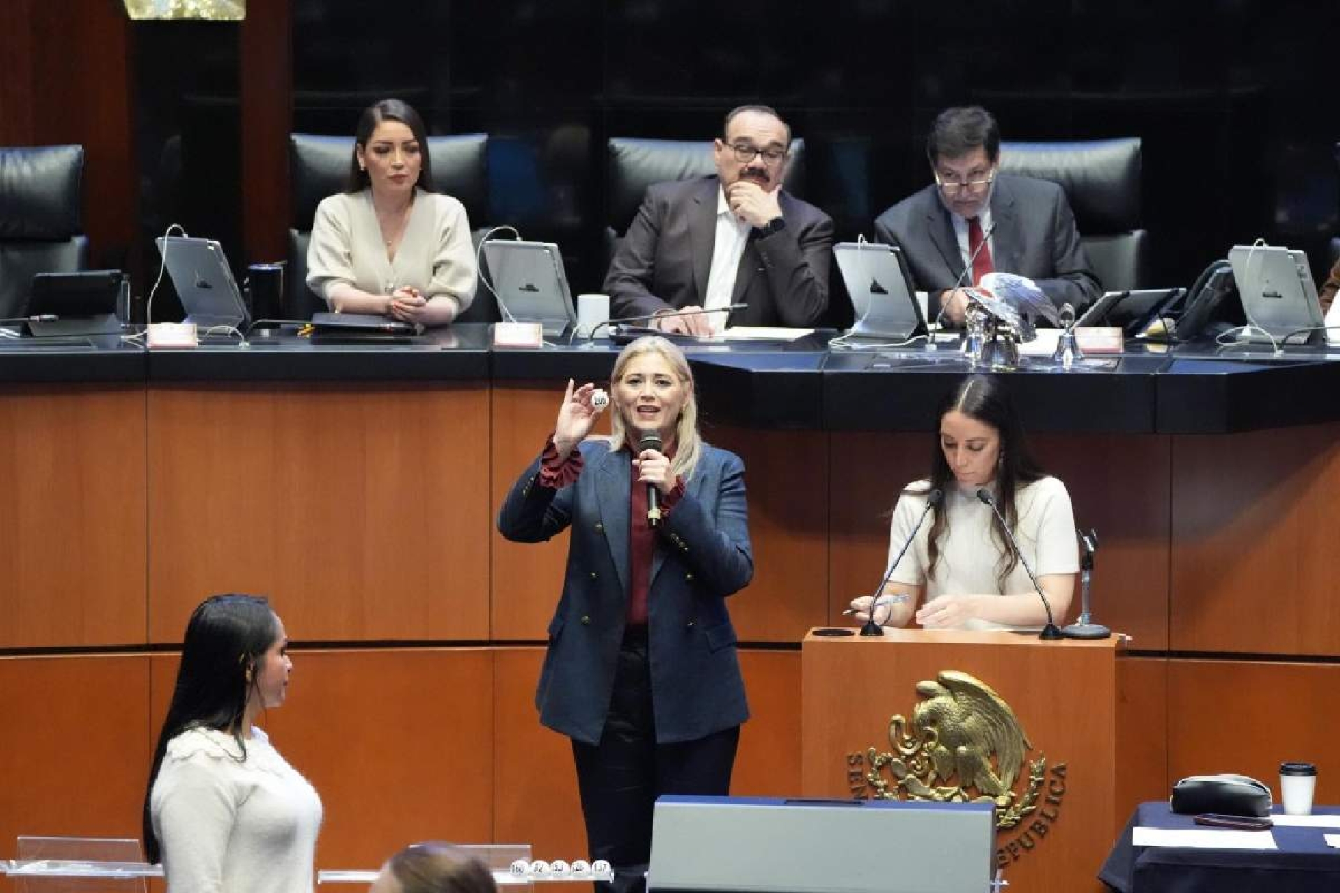 El Senado realiza 'tómbola judicial'