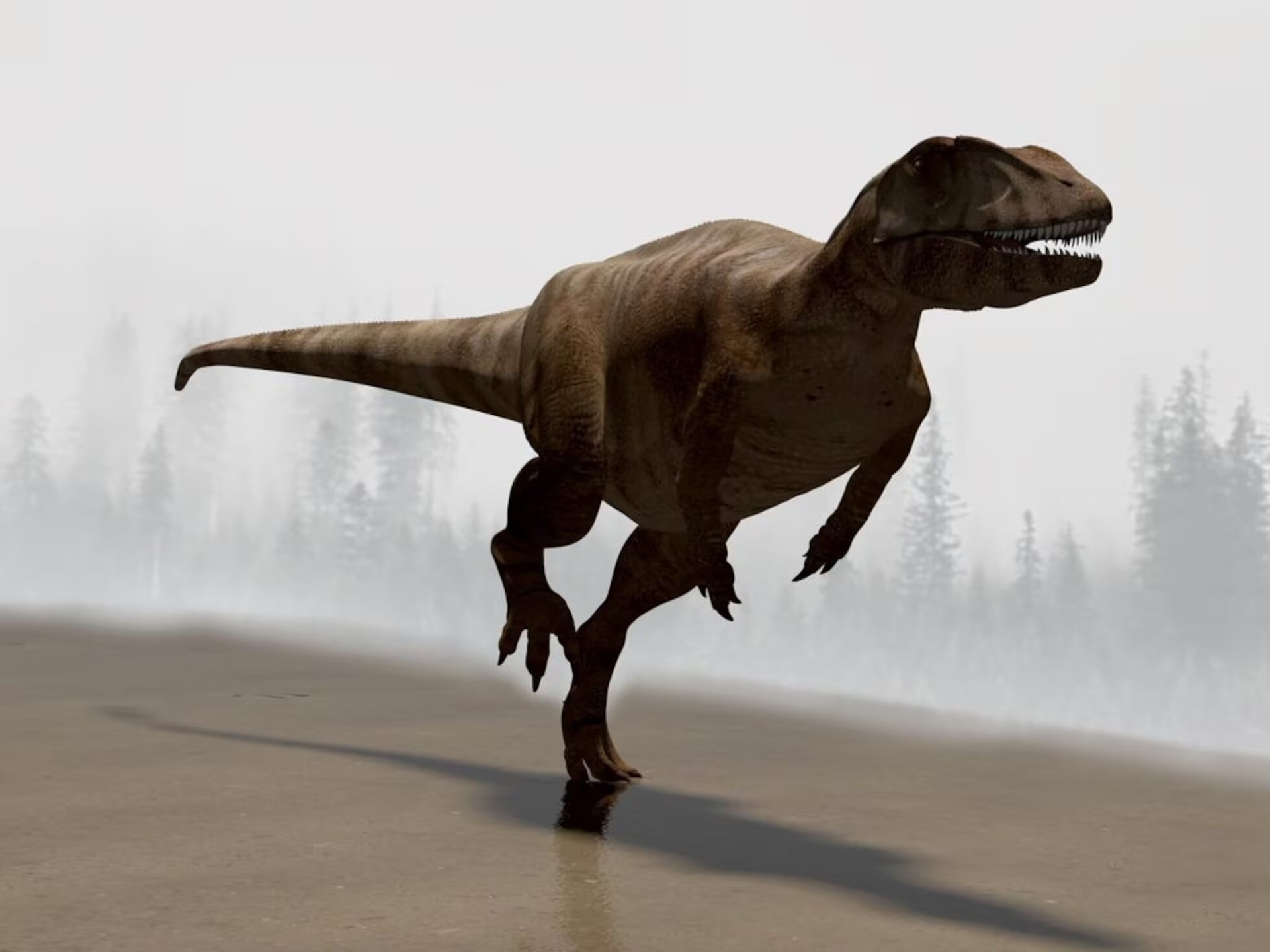 Huellas de dinosaurios coinciden en zonas divididas por un océano