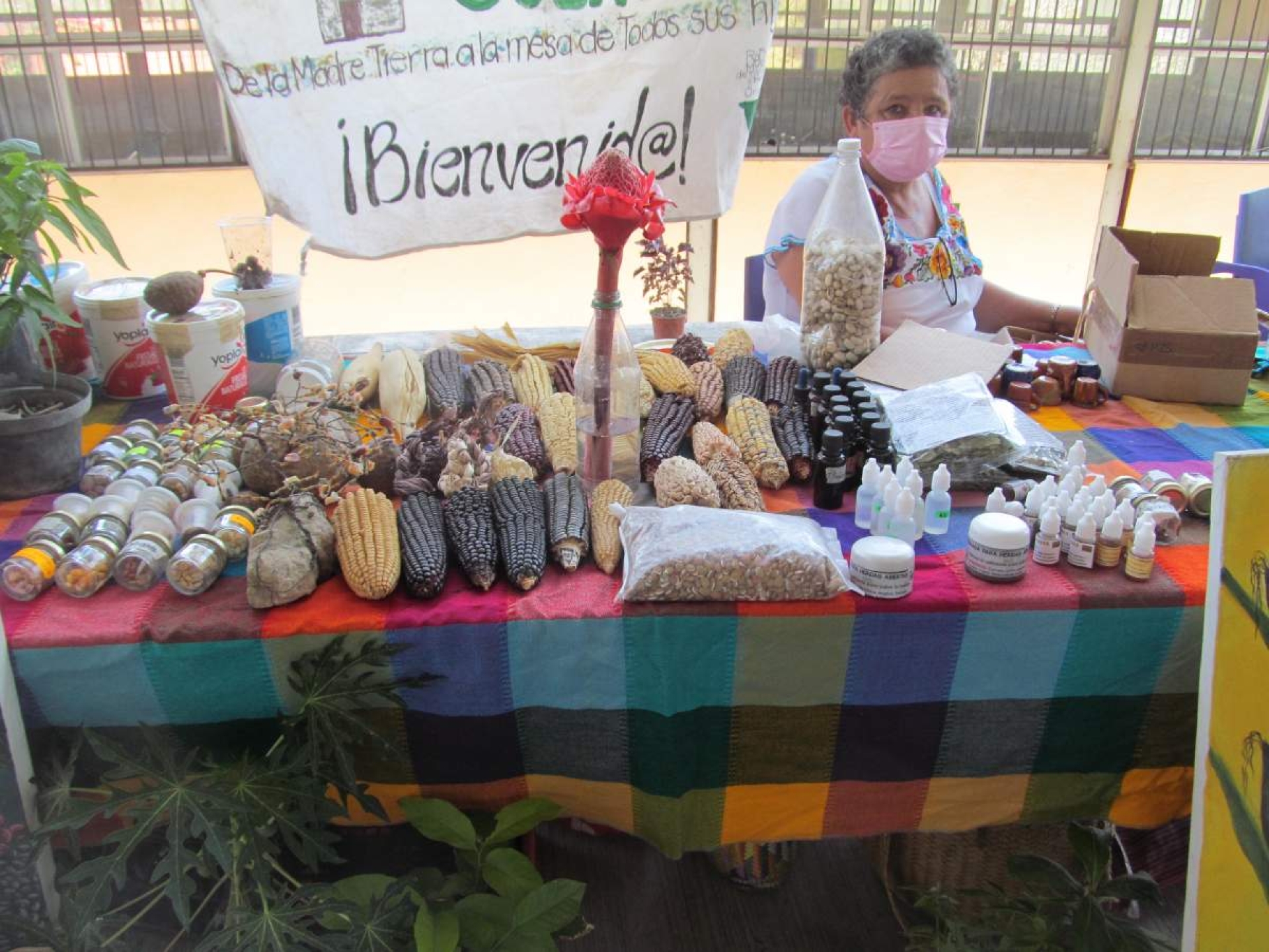 Convocan al 5º encuentro de soberanía alimentaria