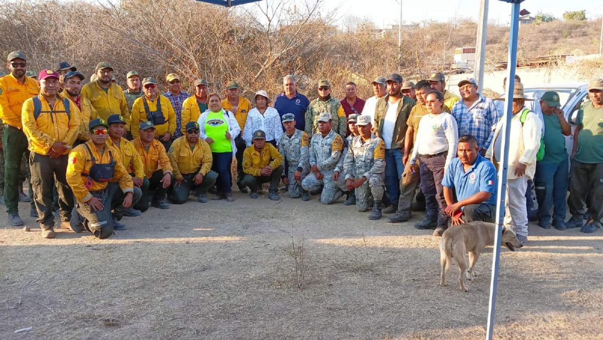 Con apoyo estatal y federal, combaten incendios forestales en Ayala