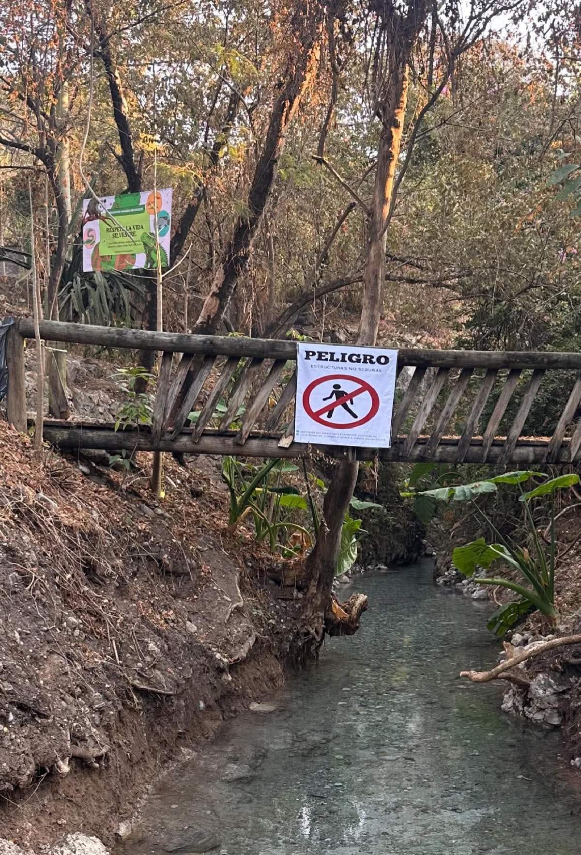 Abren temporalmente los 'Ojitos de Agua' de Mazatepec