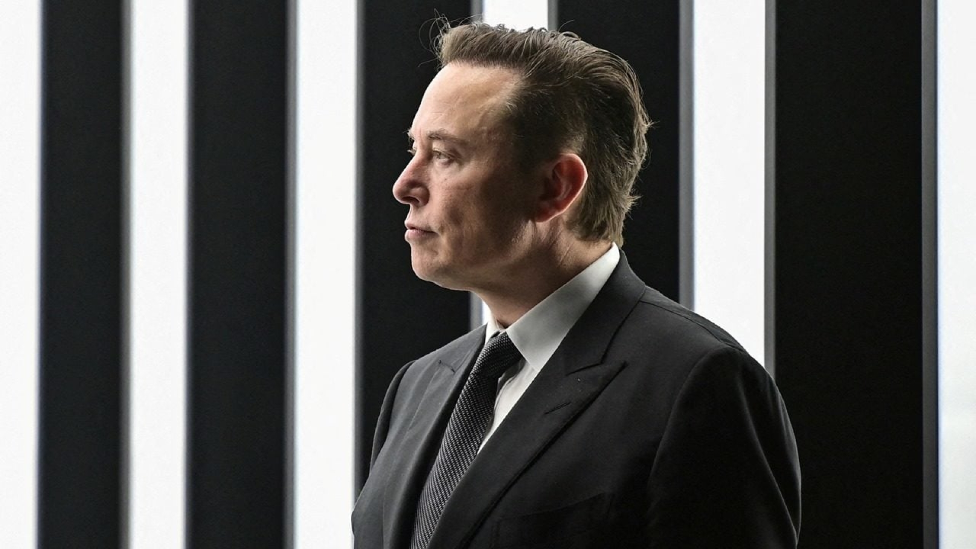 Elon Musk anuncia nuevos súper chips de IA y el valor de Tesla repunta en el mercado