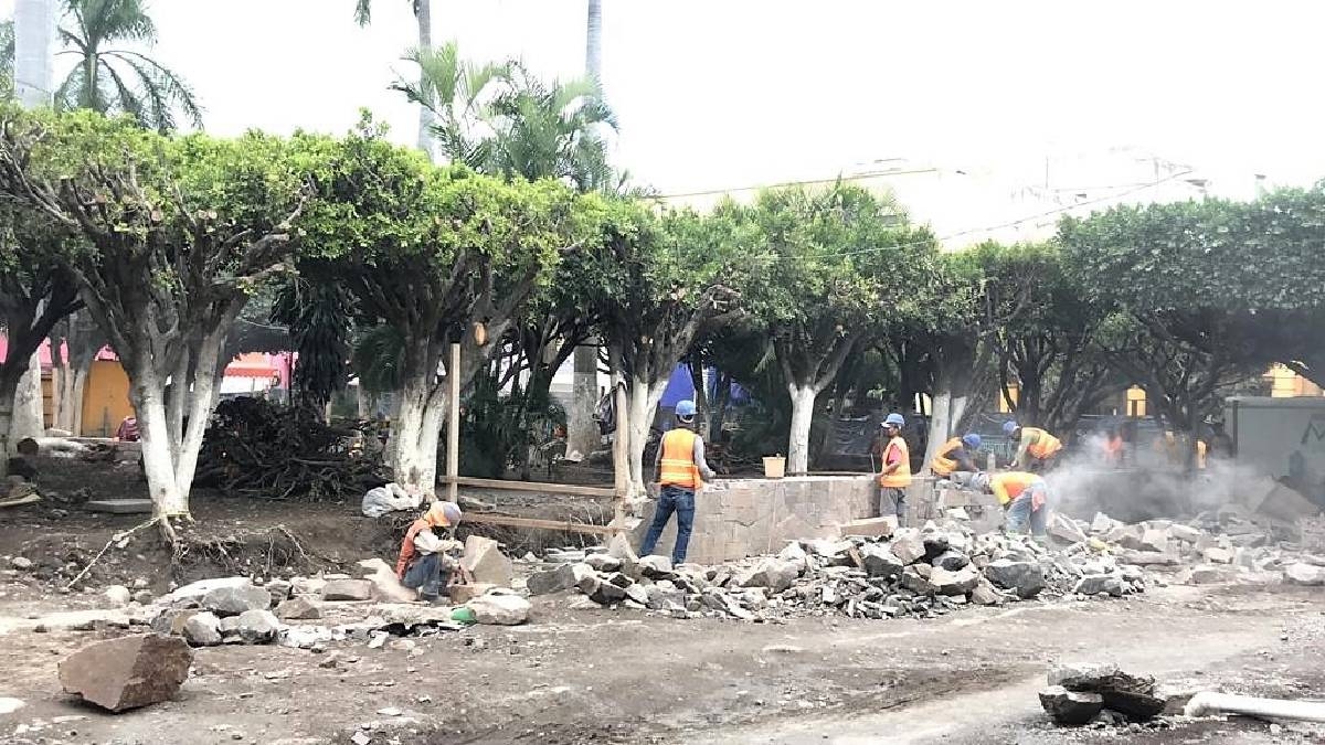 Niegan autoridades tala inmoderada de árboles en zócalo de Cuautla