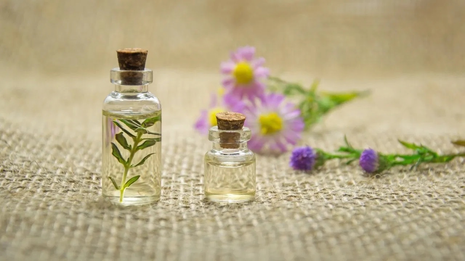 Aceite de jojoba: ¿Para qué sirve y cómo usar esta maravilla mexicana?