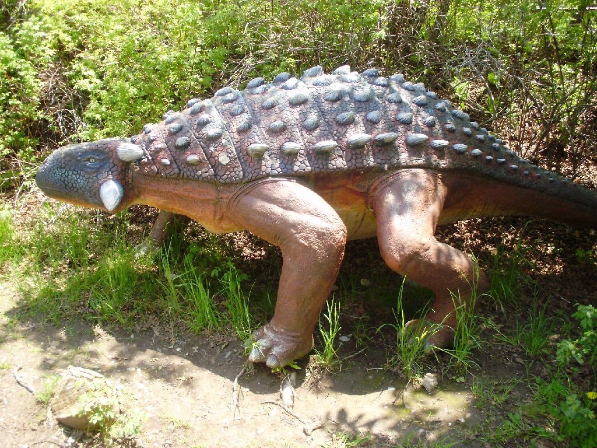 Descubren en China una nueva especie de dinosaurio anquilosauro