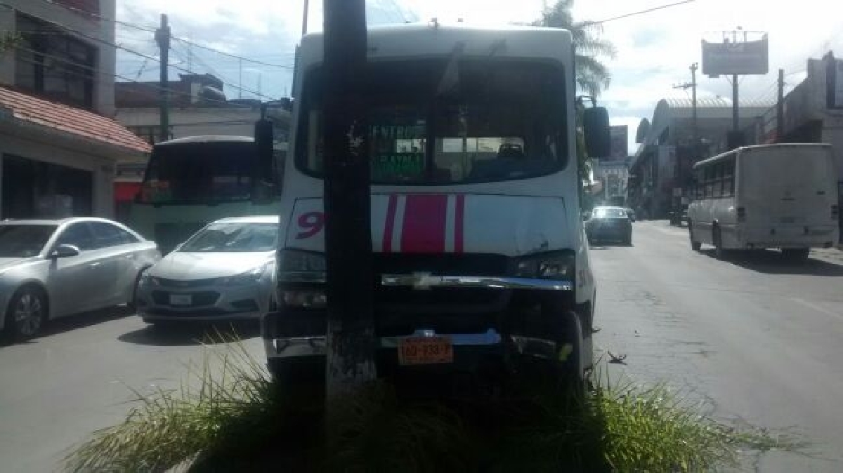Una “ruta” sin frenos chocó contra una palmera