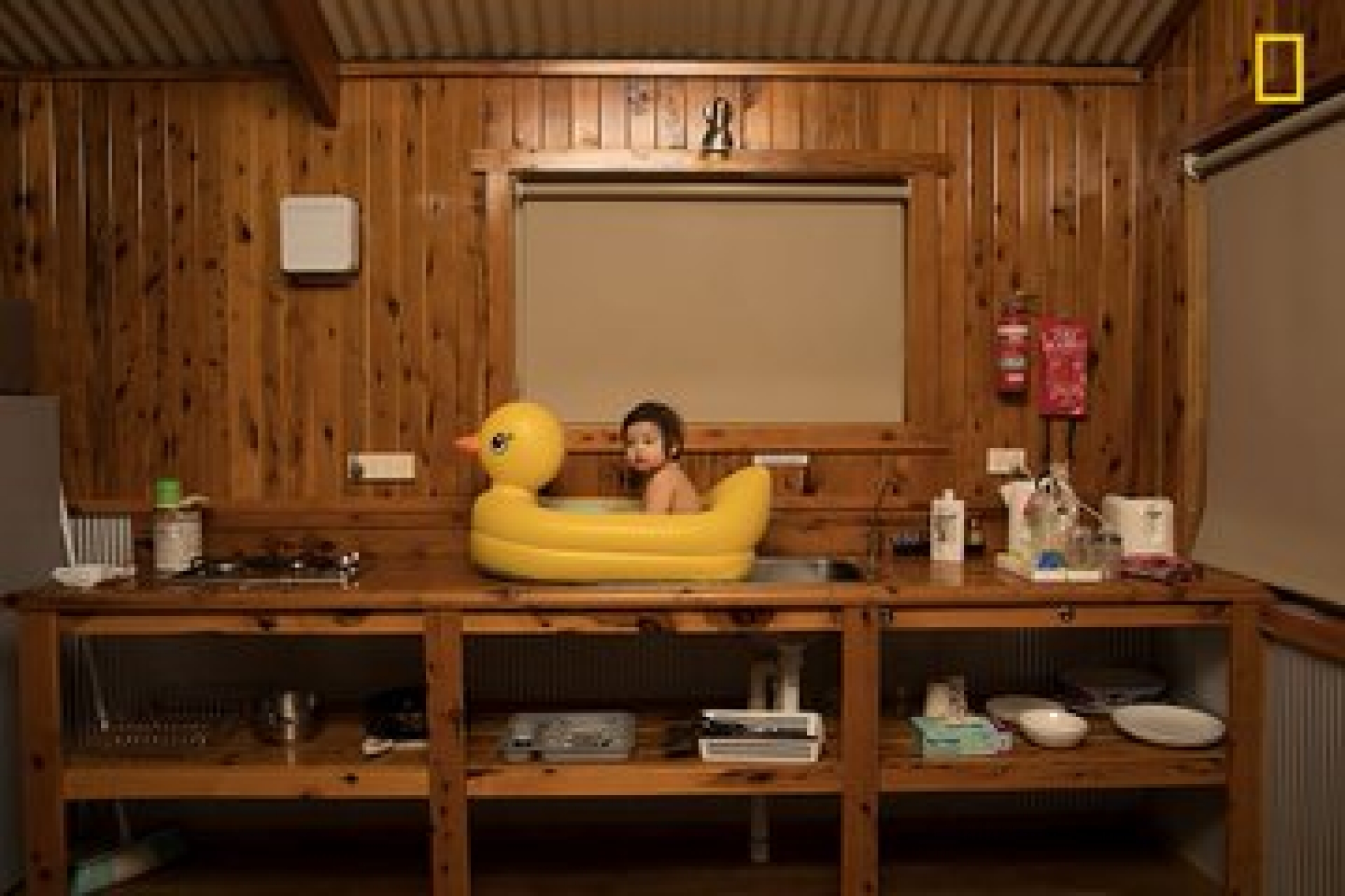 Las mejores fotografías del año según National Geographic