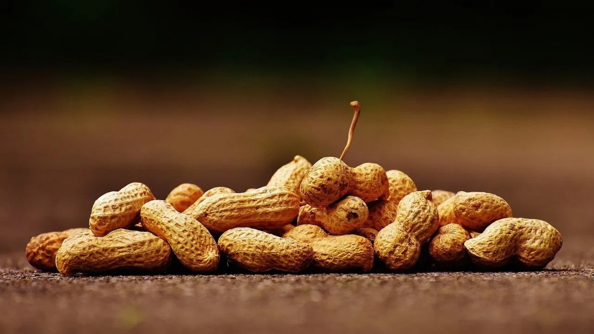 Los beneficios del cacahuate más sorprendentes: Previene anemia y diabetes