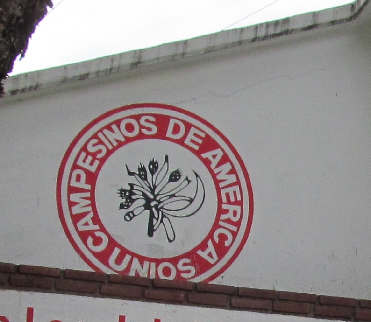 Ya hay fecha para cambio de líder en la CNC