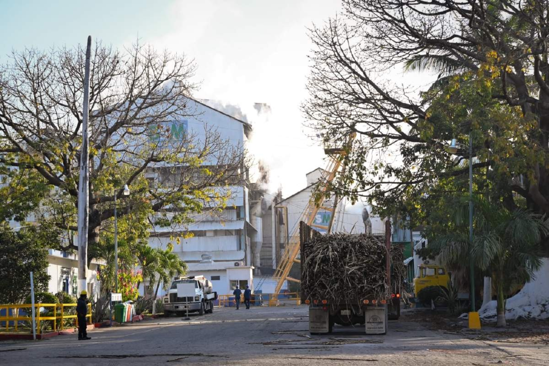 Zafra 2025-2026 en el IEZ iniciaría este jueves