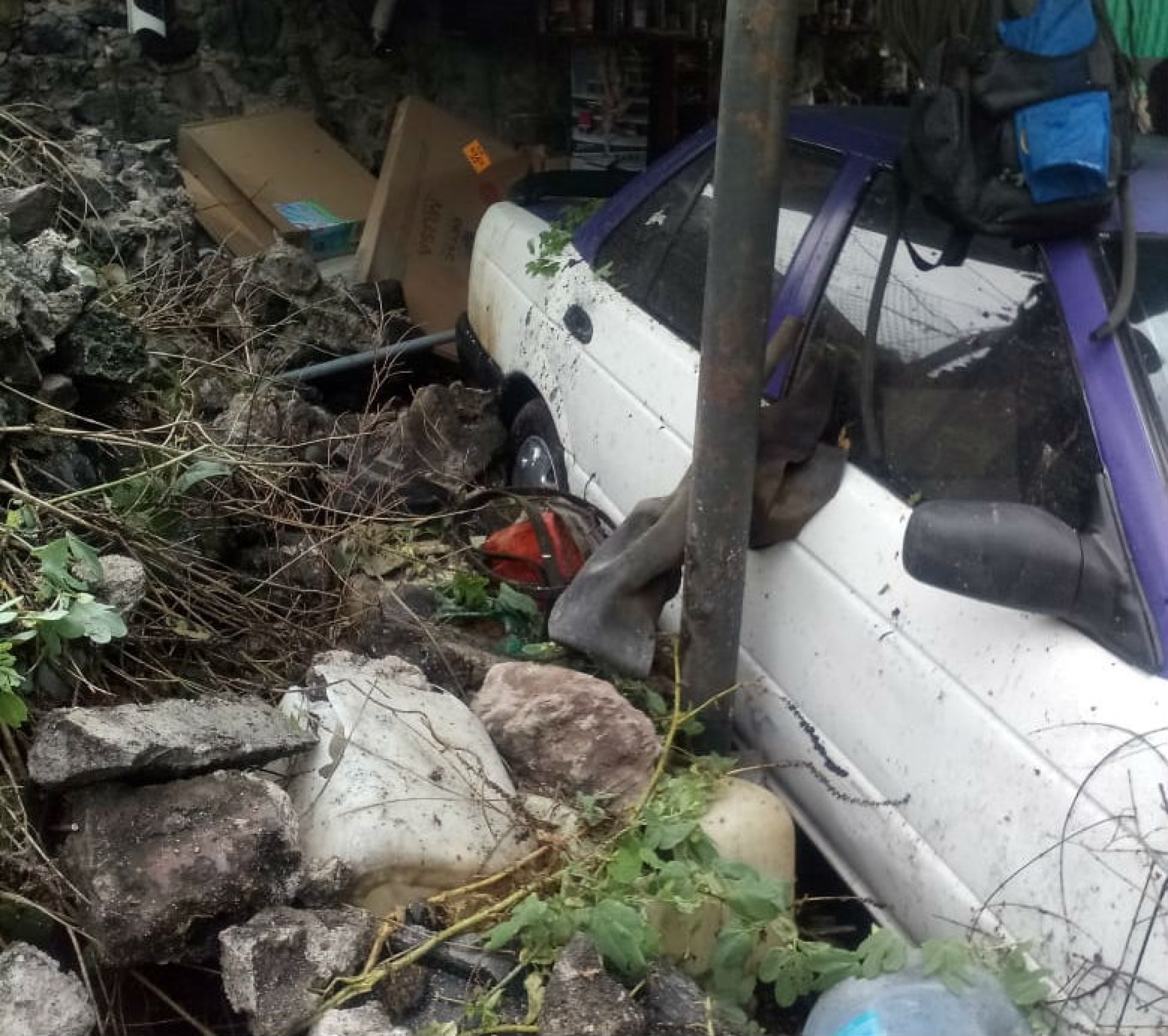 Atiende PC Cuernavaca caída de árbol y colapso de una barda