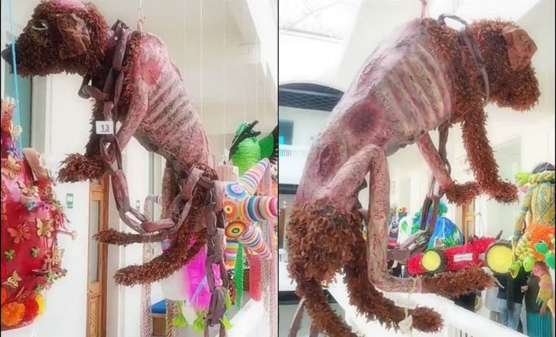 Crean piñata para 'dar voz' al maltrato animal y genera debate en TikTok