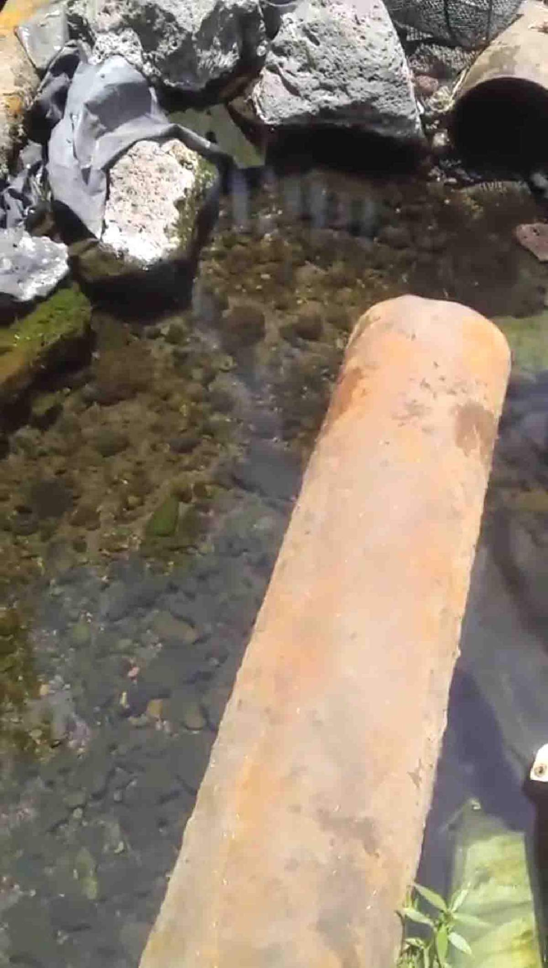 Disminuye el nivel del manantial “Chihuahuita” de la zona sur