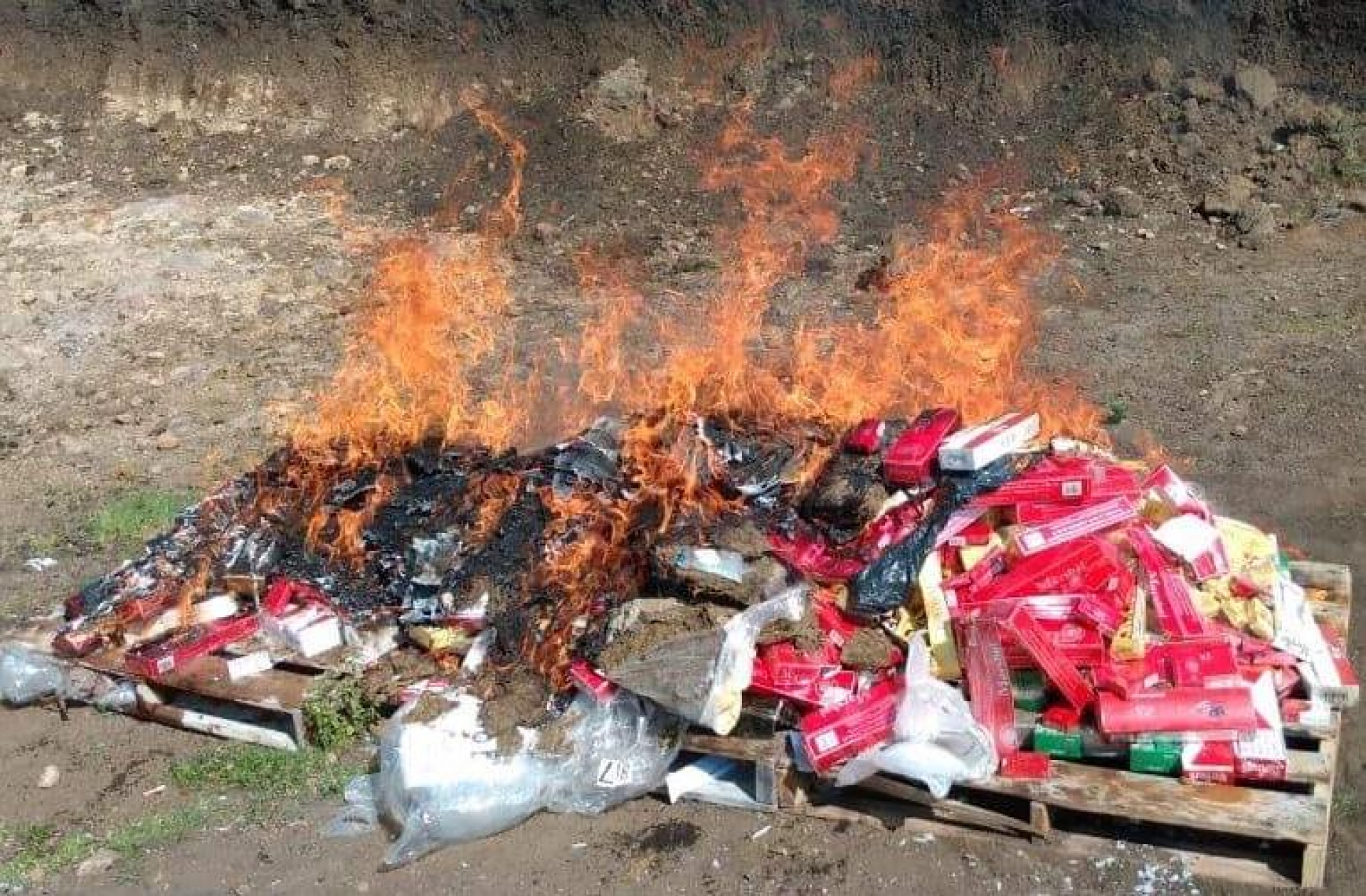 Incinera FGR drogas y objetos del delito en Morelos