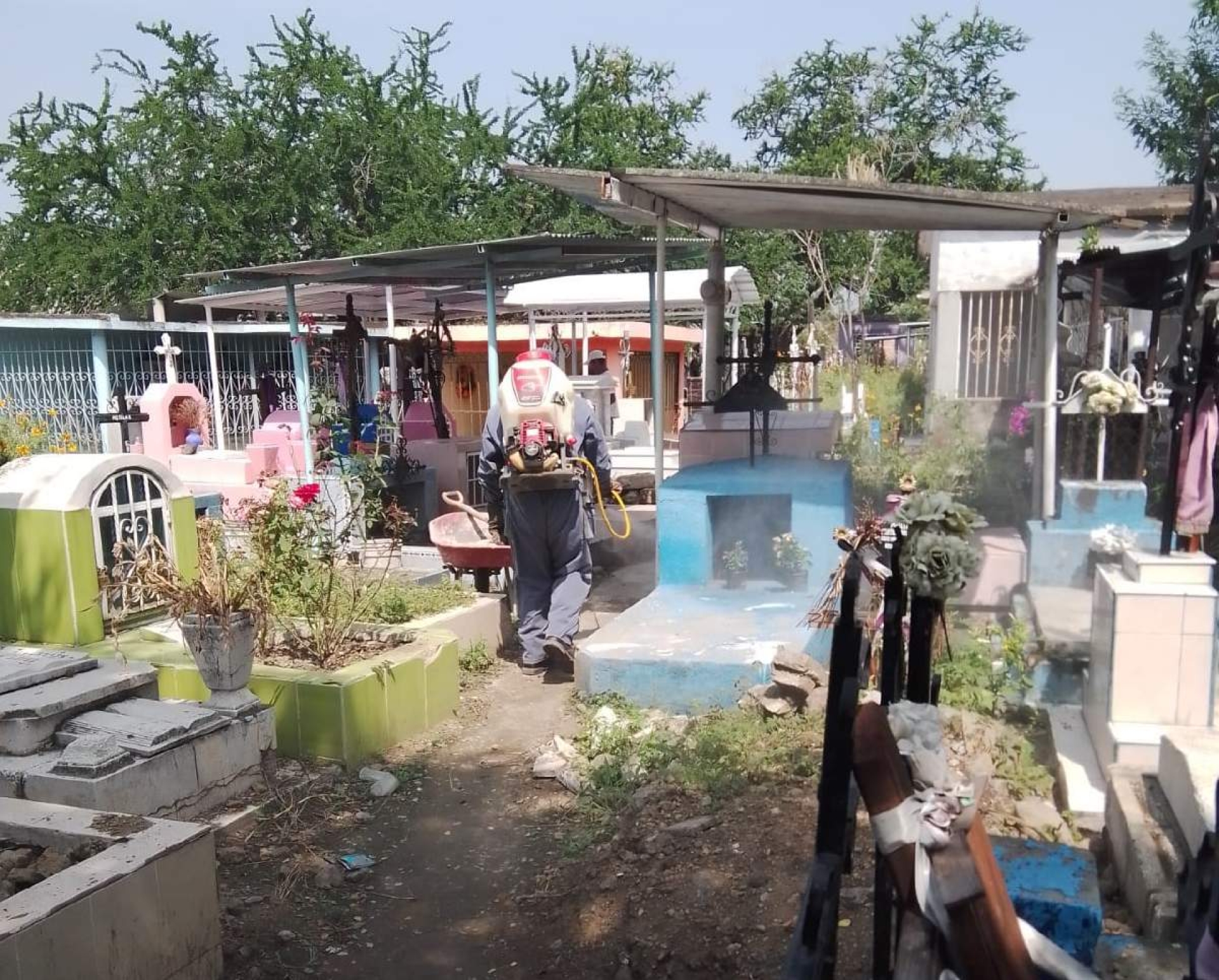 Amplían combate al mosco del dengue en colonias de Cuautla
