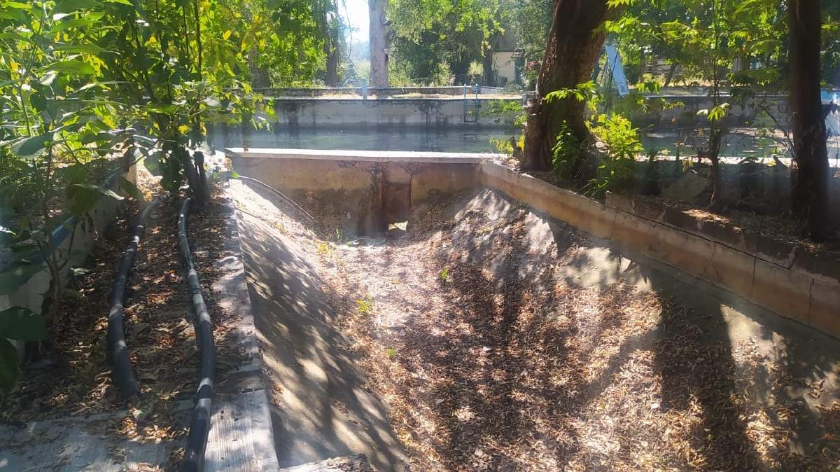 Considera Ceagua proyecto para la optimización del manantial El Regadío