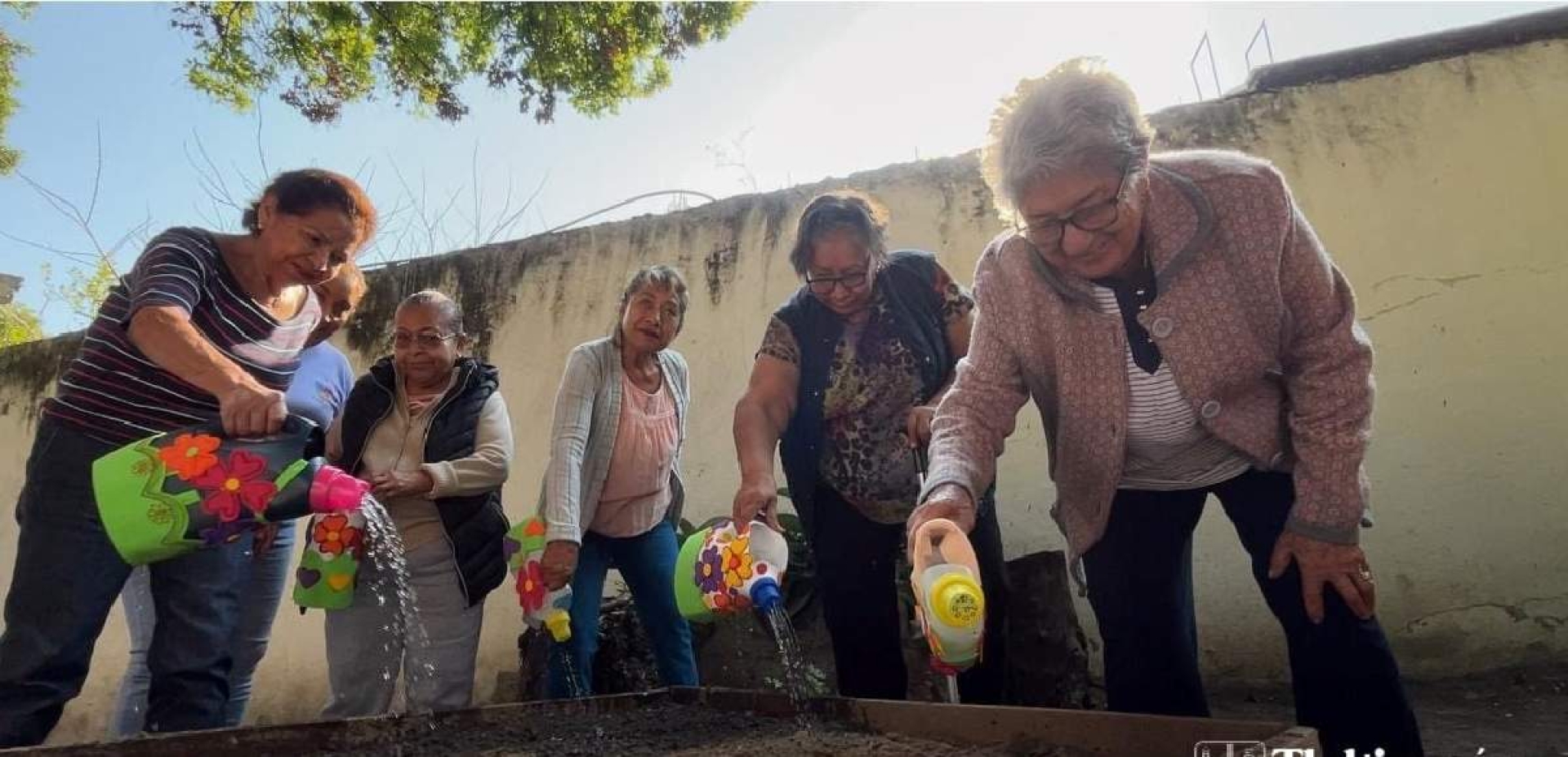 Involucran a adultos mayores de Tlaltizapán en creación de huertos