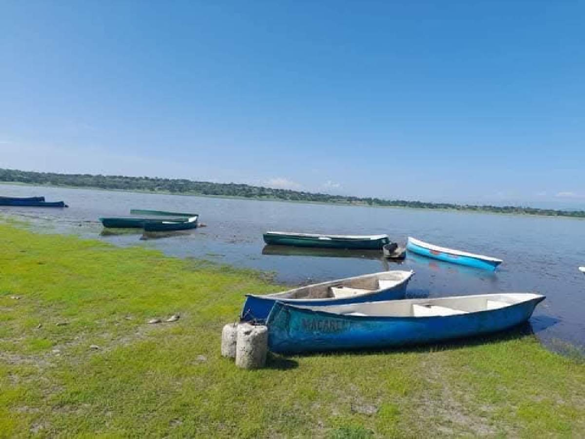 Persiste escasez de mojarra en lagunas de Coatetelco y de El Rodeo