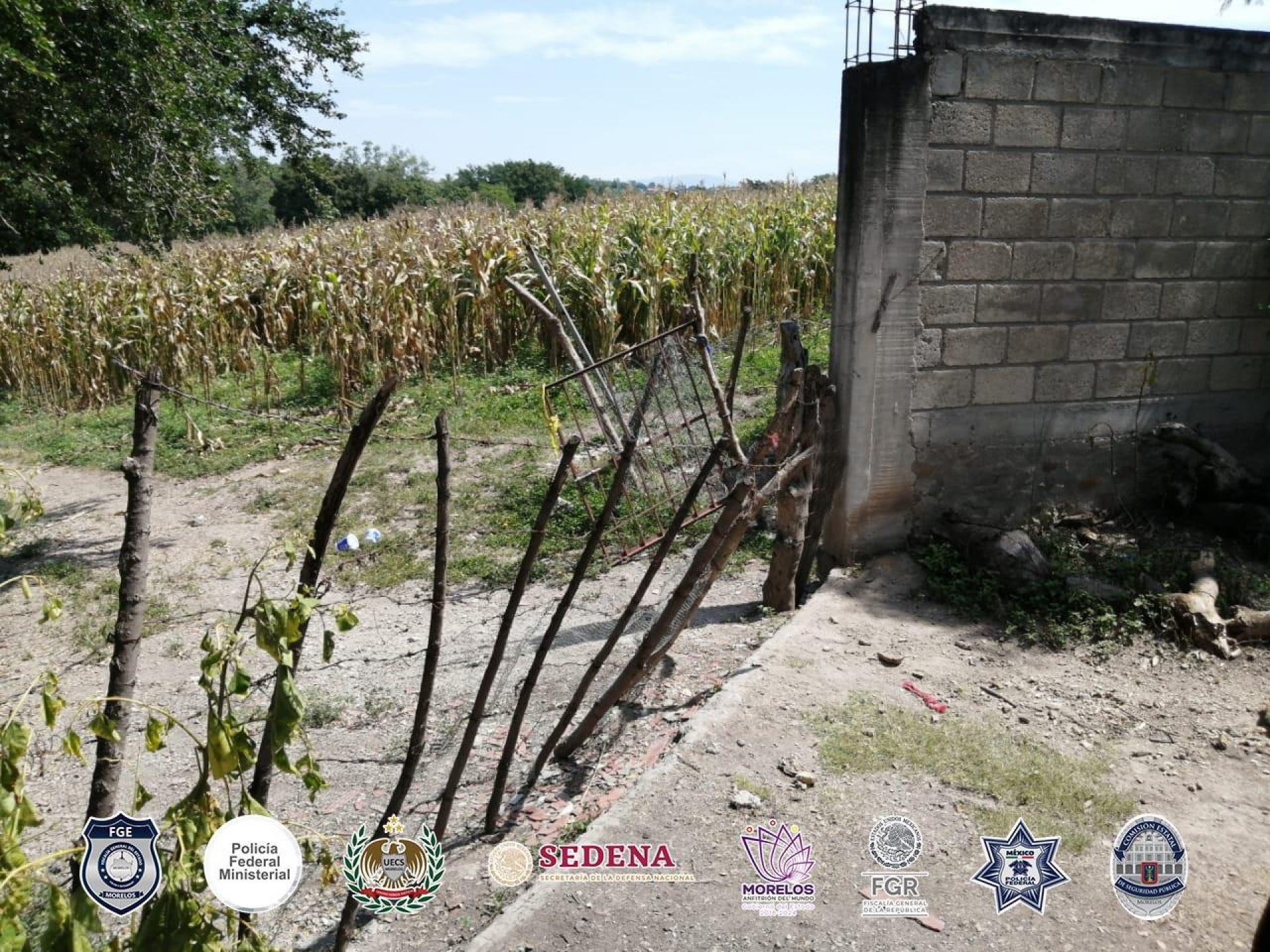 Cumplimenta PIC órdenes de aprehensión contra 'Los Cahuira'