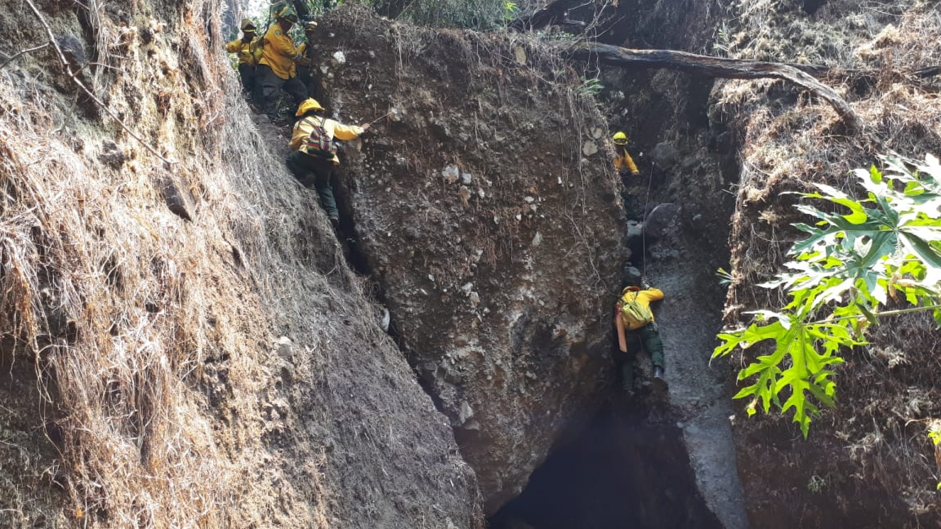 Refiere SDS 100% de control y liquidación del incendio forestal en el paraje 'Oztopulco'