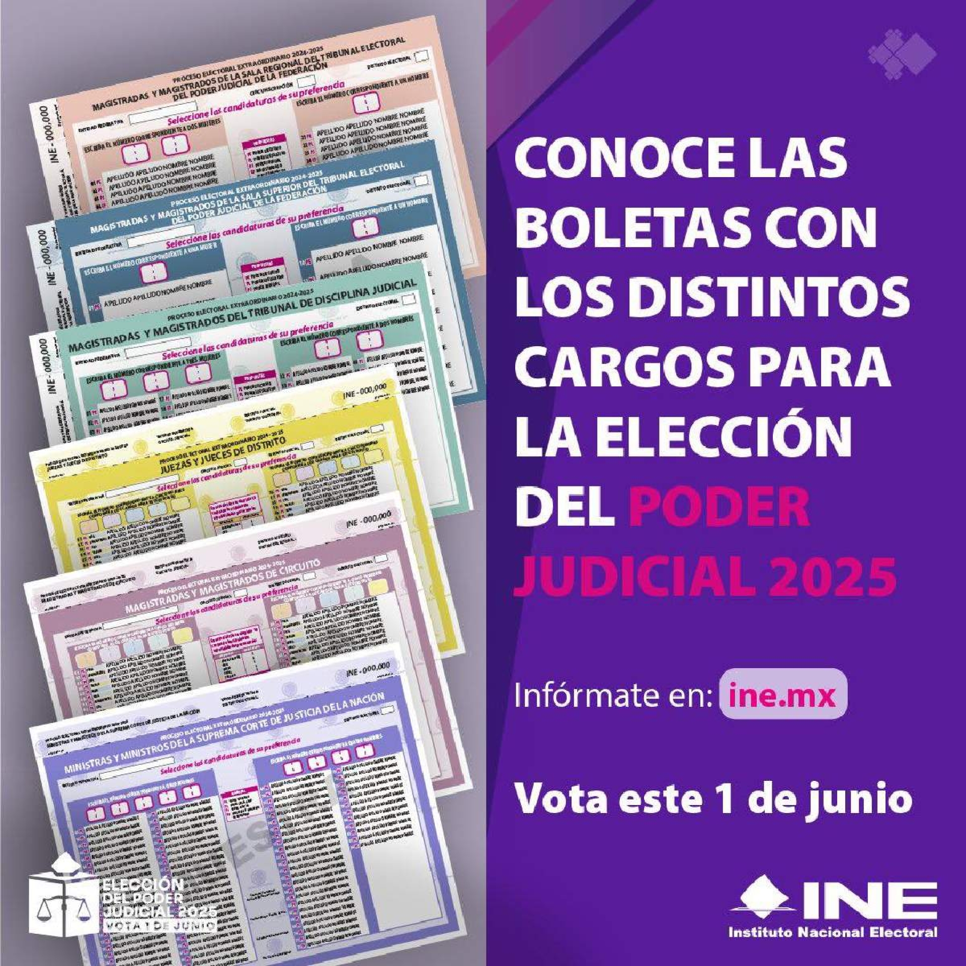 Proceso electoral partidizado