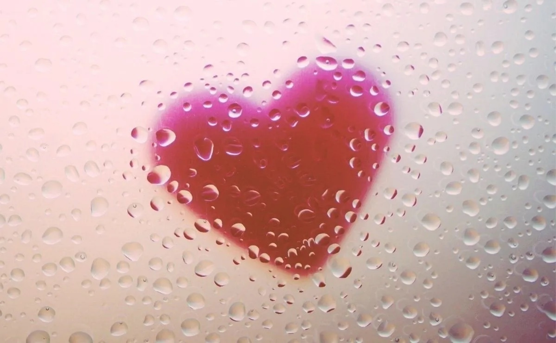 Quieres amor pero no logras estar en una relación por estas razones