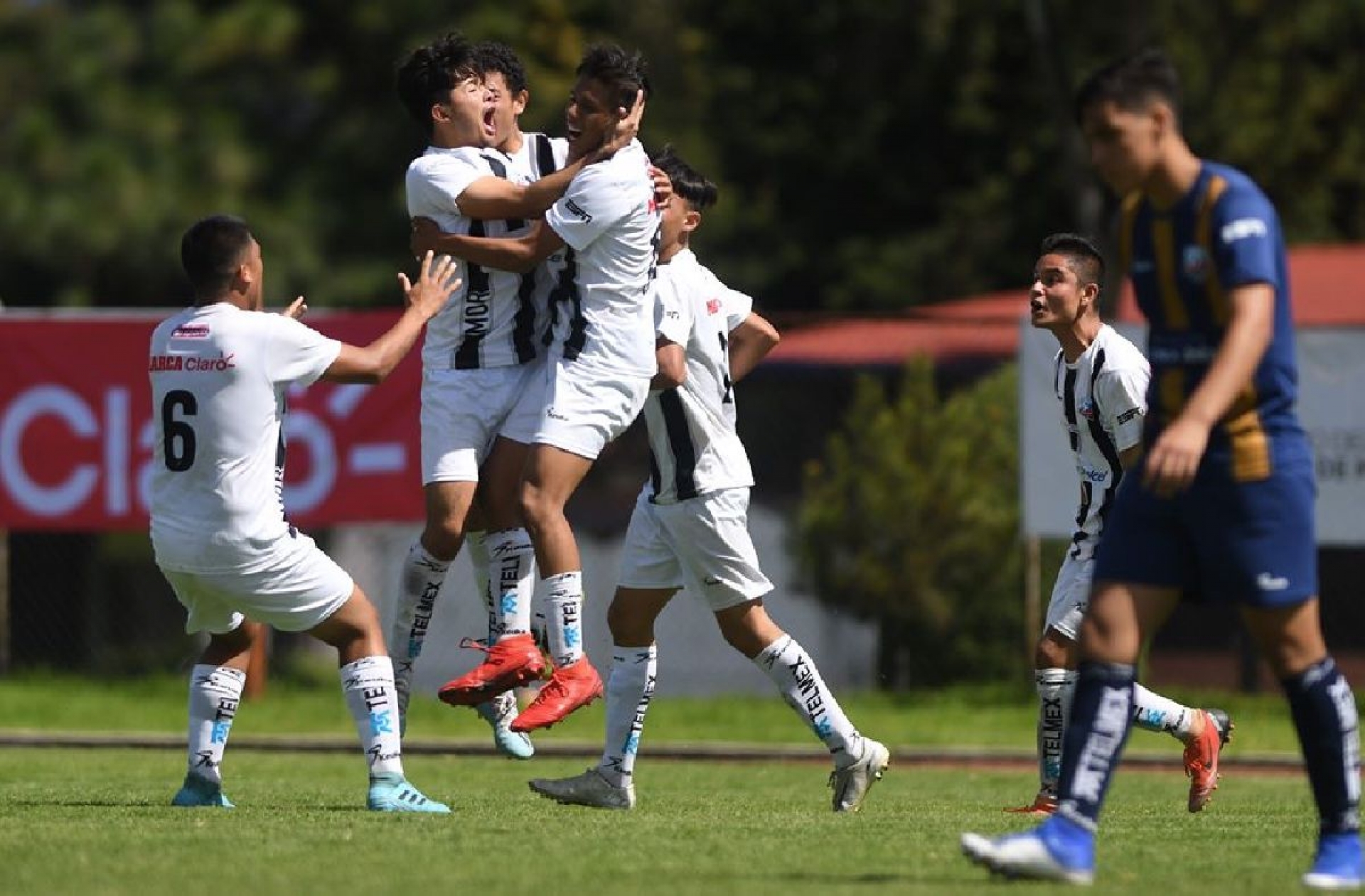 ¡Tricampeones!