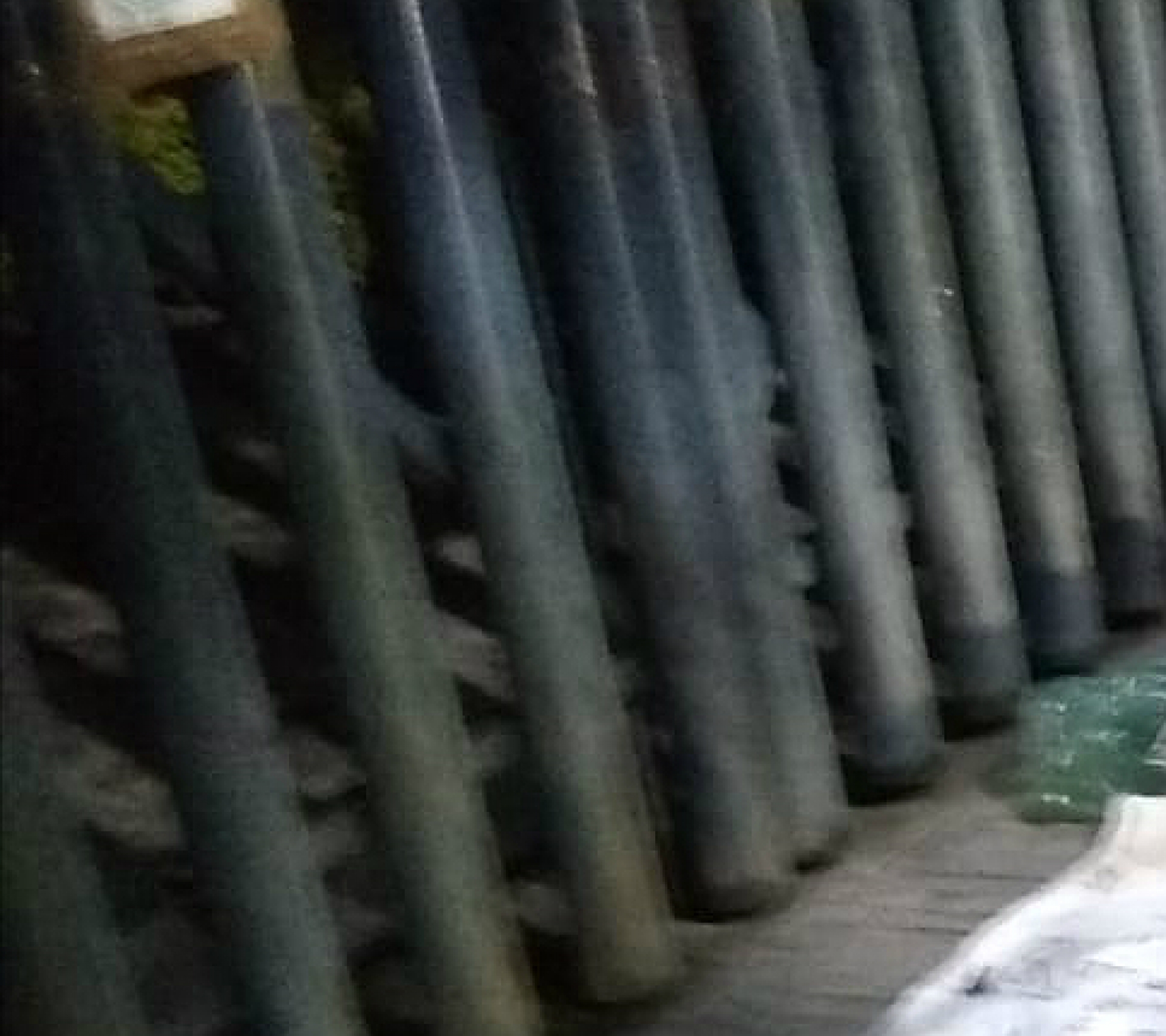 Hallan restos humanos en la entrada de la preparatoria cinco, en Puente de Ixtla
