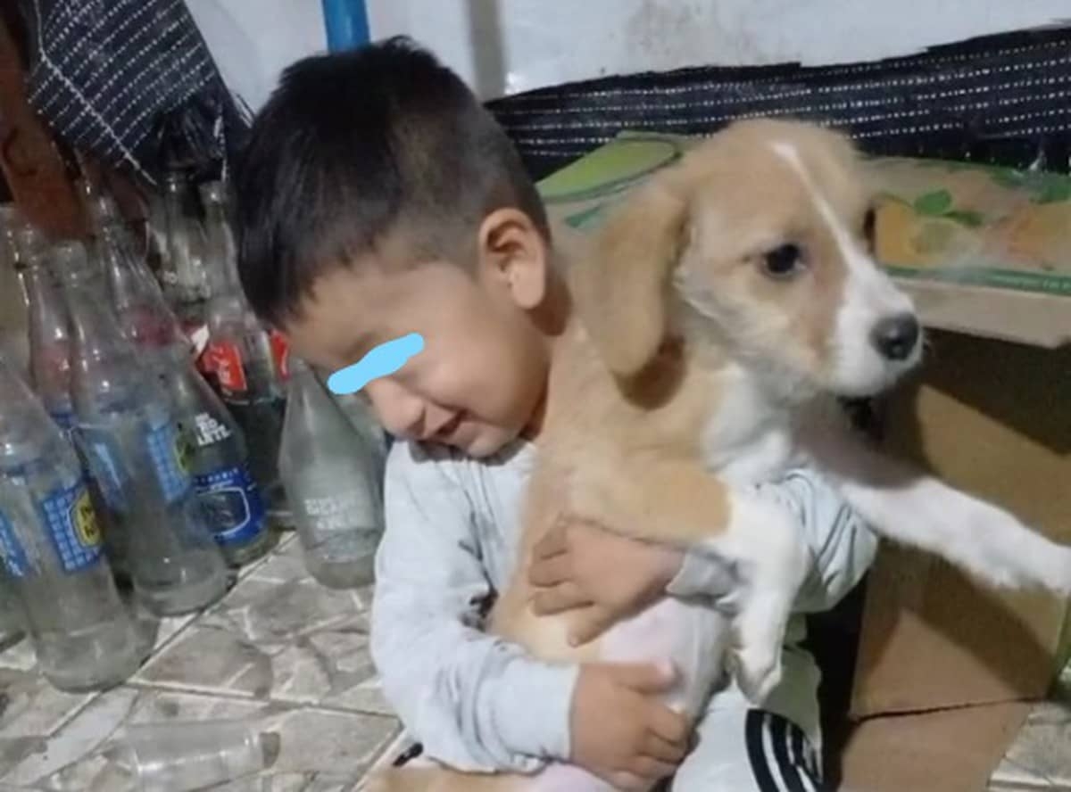 Niño rescata a perrito que conoció en la calle