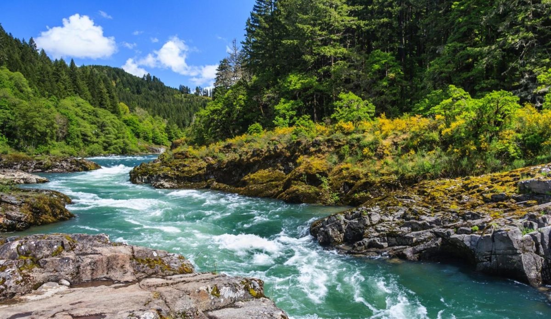 UNESCO celebra el Día Internacional de las Reservas de la Biosfera