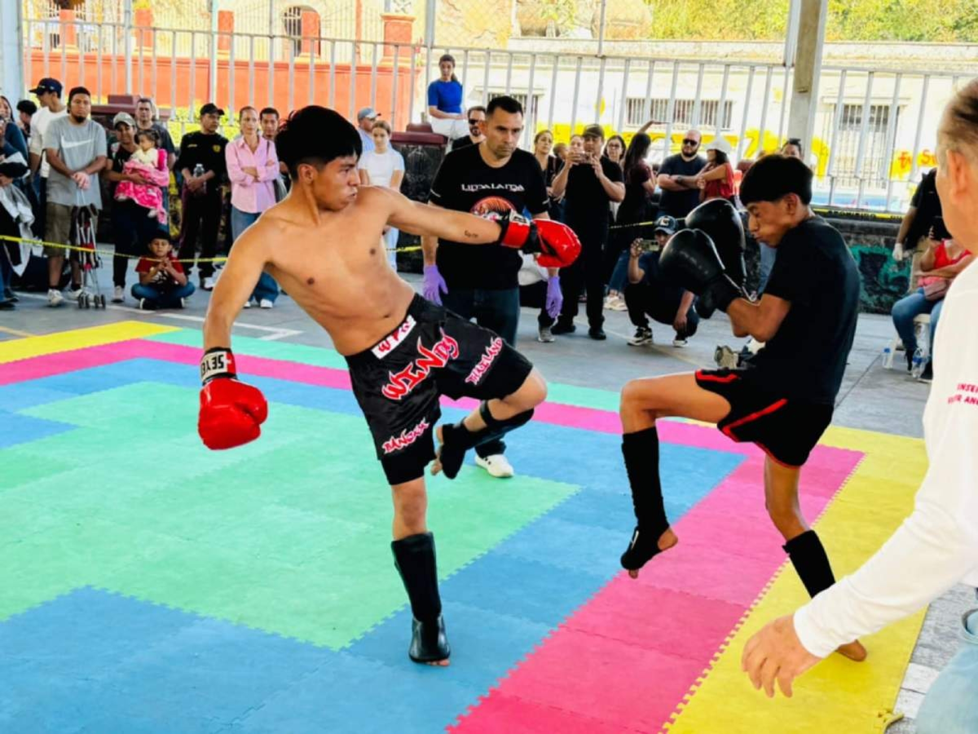 Tuvo gran respuesta torneo de artes marciales