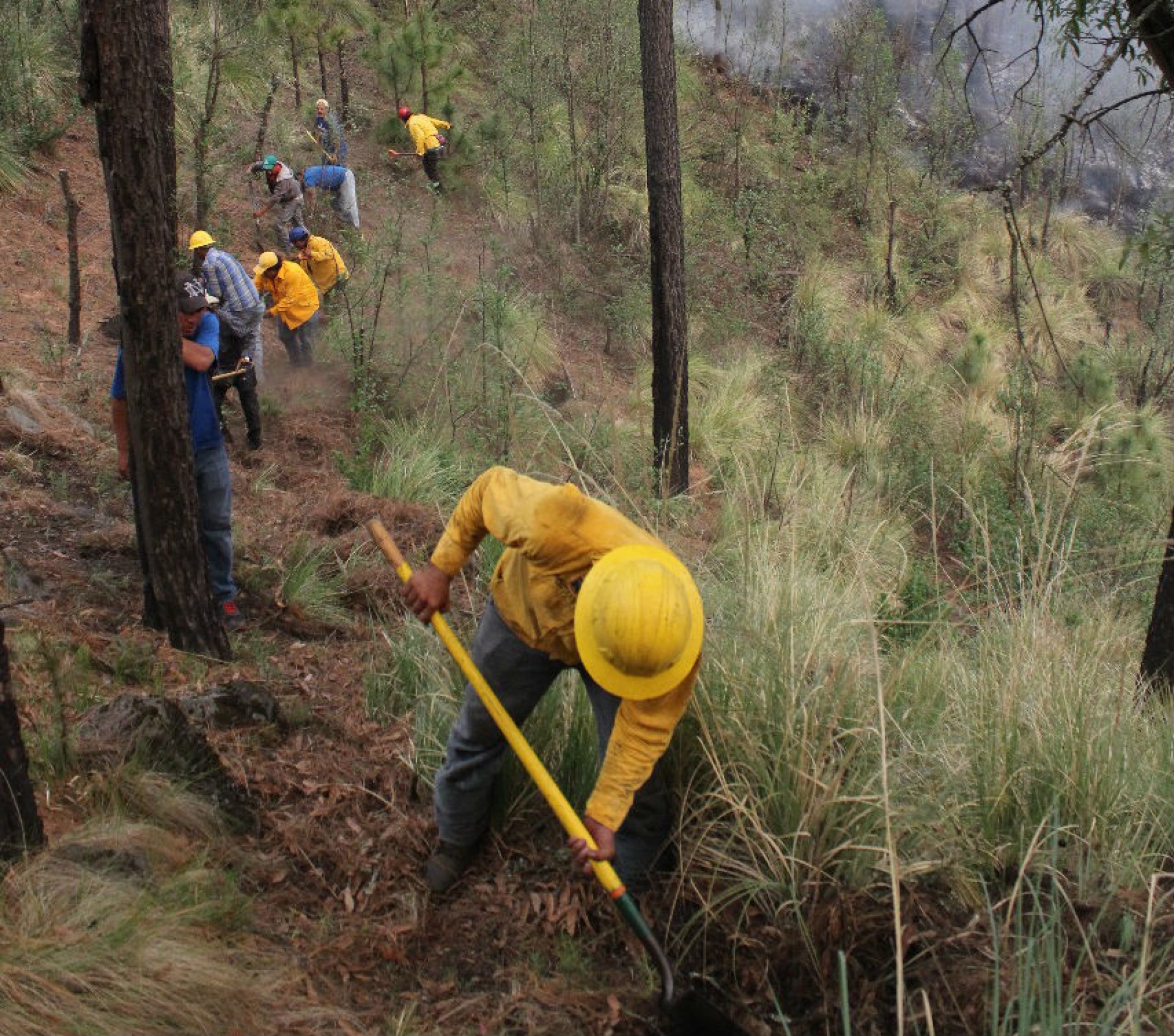 Atienden brigadas cuatro incendios en Tepoztlán y Yautepec