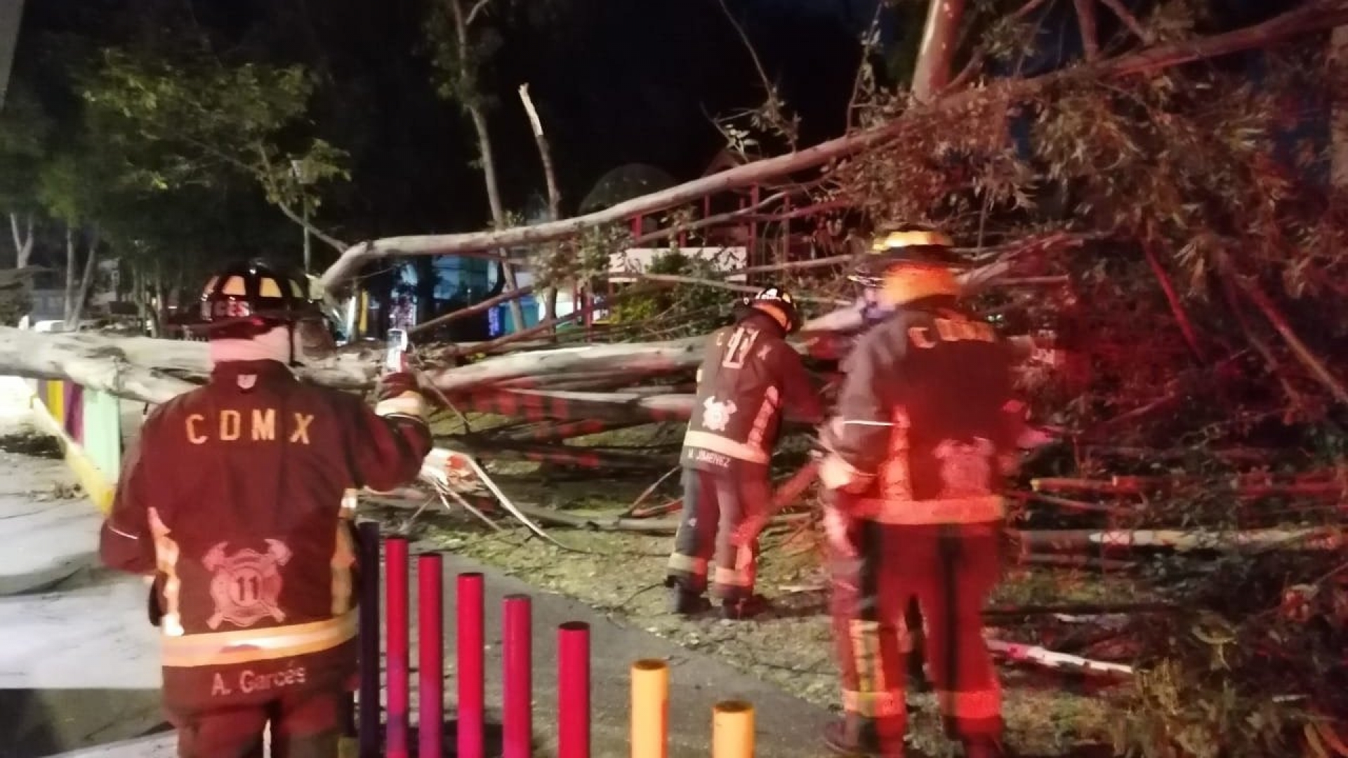 Fuertes vientos derriban árboles y lonas en alcaldías de CDMX; activan alerta amarilla