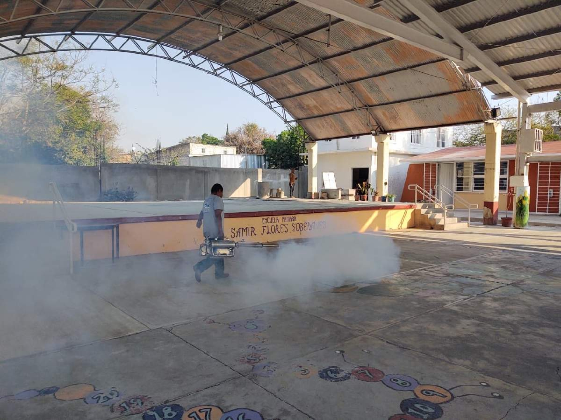 Aceleran medidas preventivas contra el mosco del dengue en Temoac