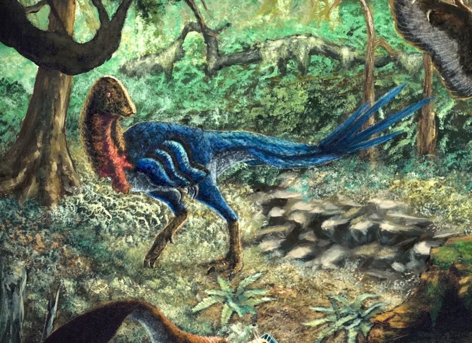 Nueva especie de dinosaurio emplumado descubierta: 'Pollo del infierno'