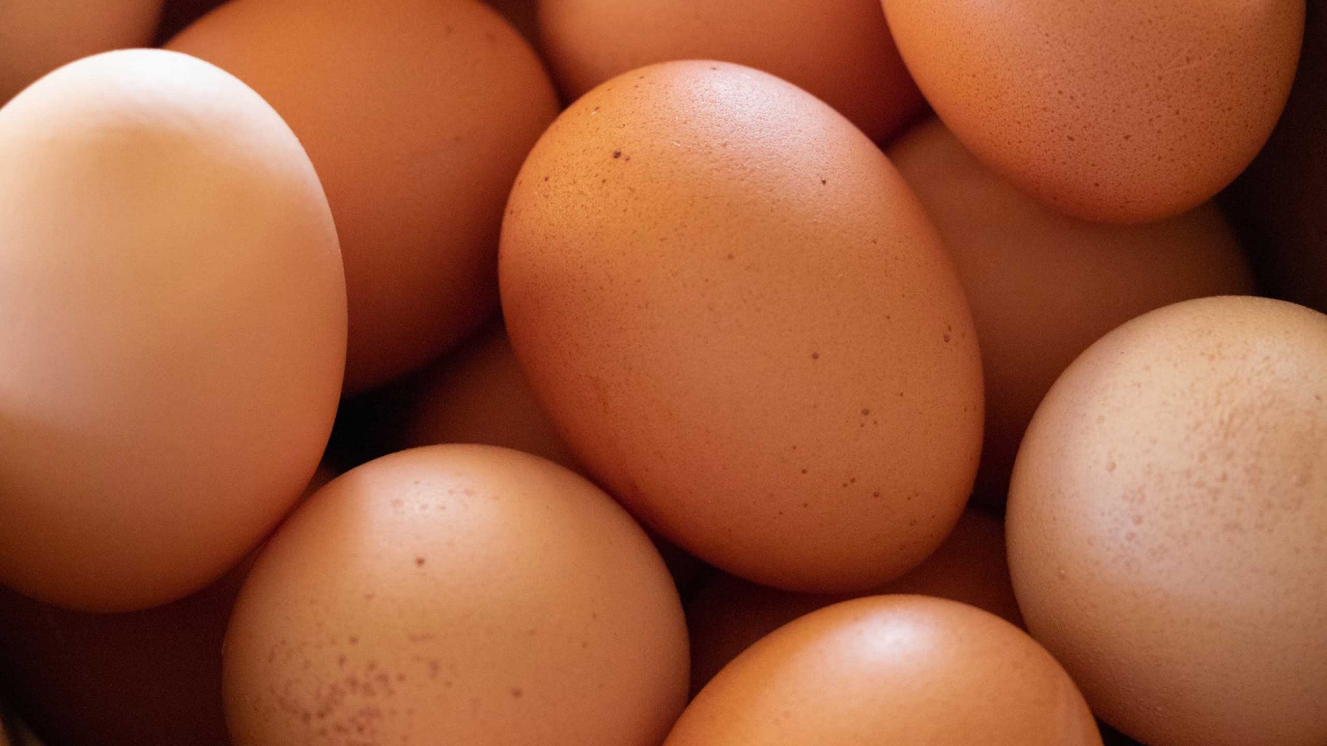 ¿Los huevos van dentro o fuera del refrigerador?