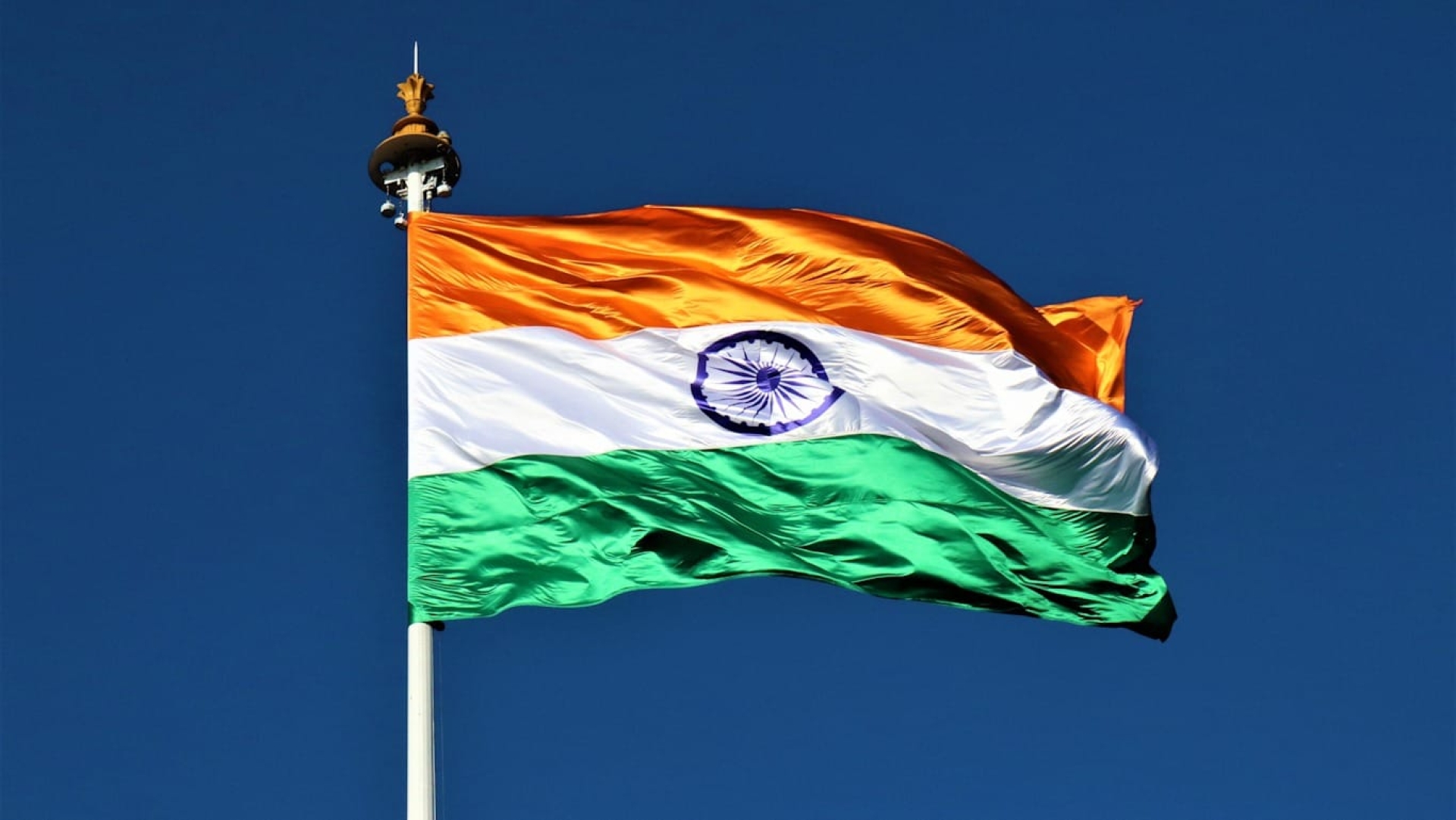 India reportó 11 brotes de gripe aviar H5N1 en diciembre