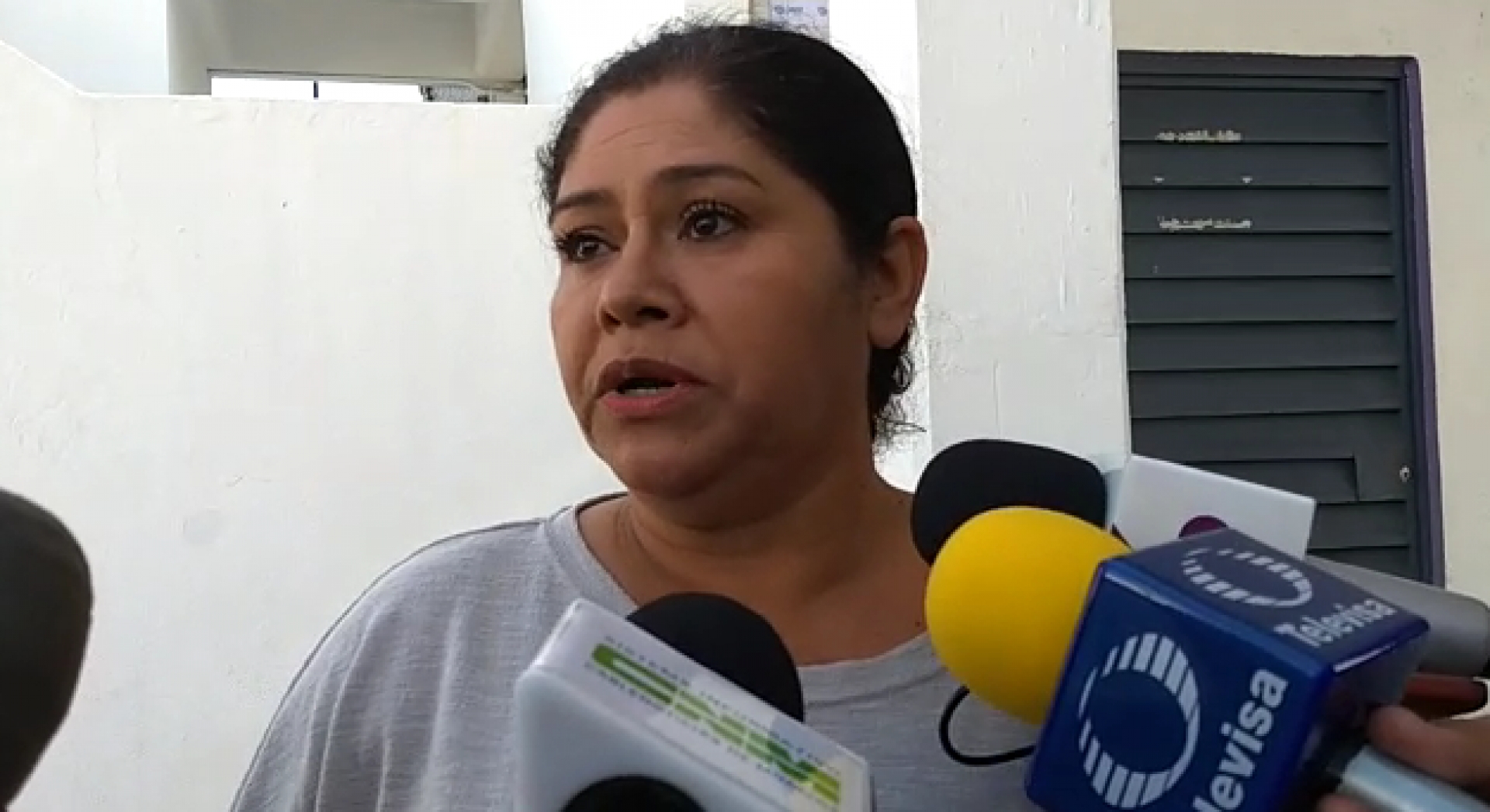 Afirma diputada del PES que acuerdo para compra de 23 vehículos se mantiene
