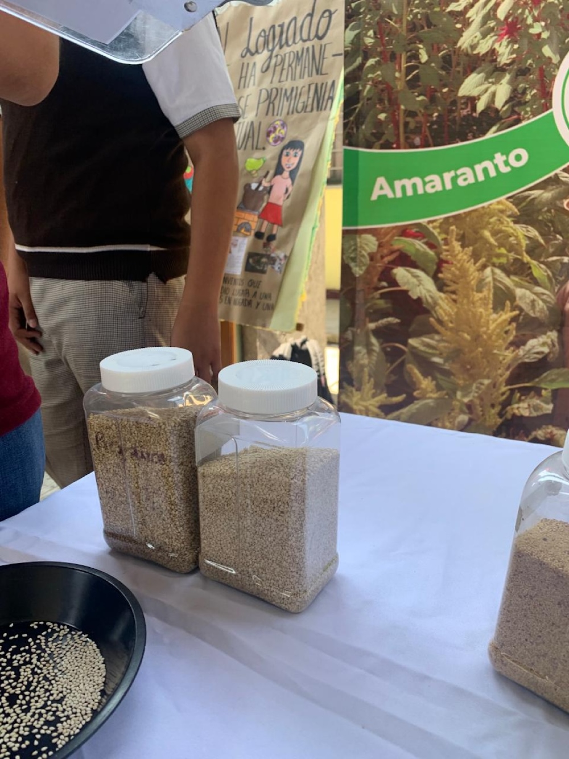 Necesario, impulsar soberanía alimentaria, destacan en foro
