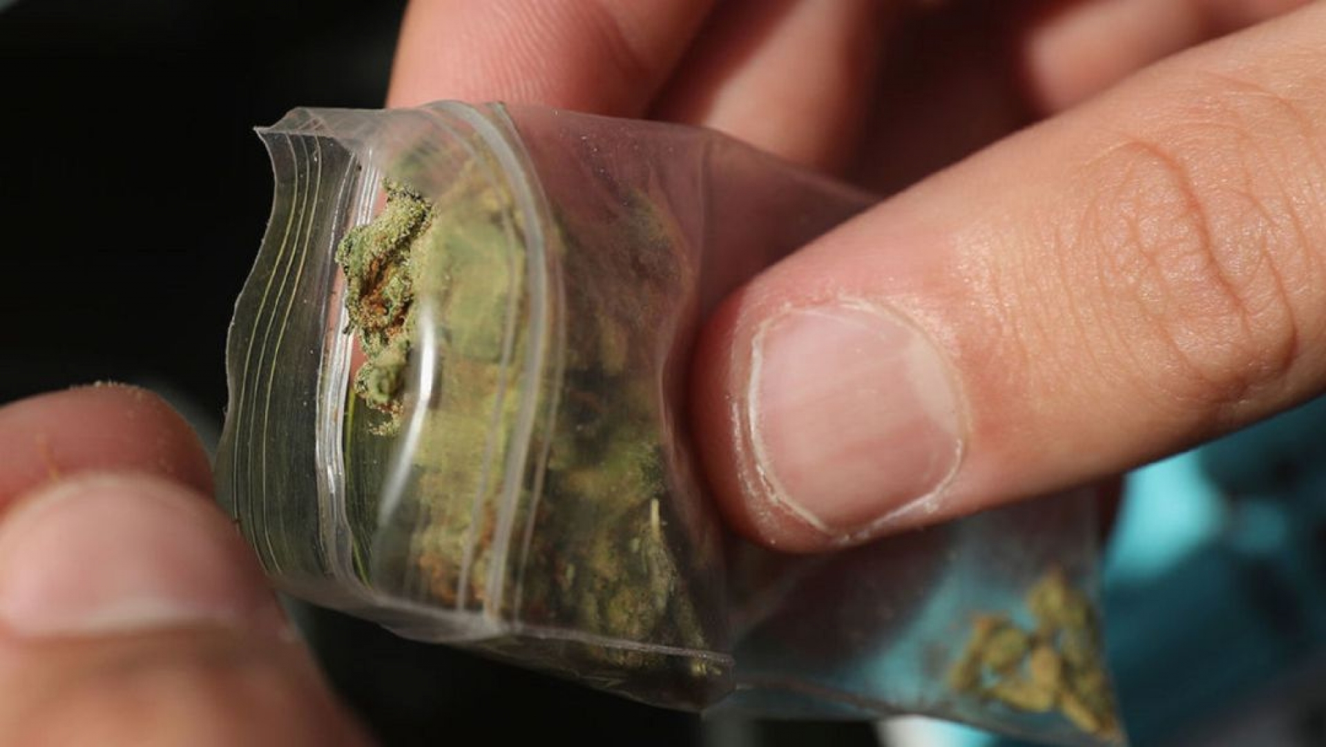 Senado aprueba el uso recreativo de la Marihuana