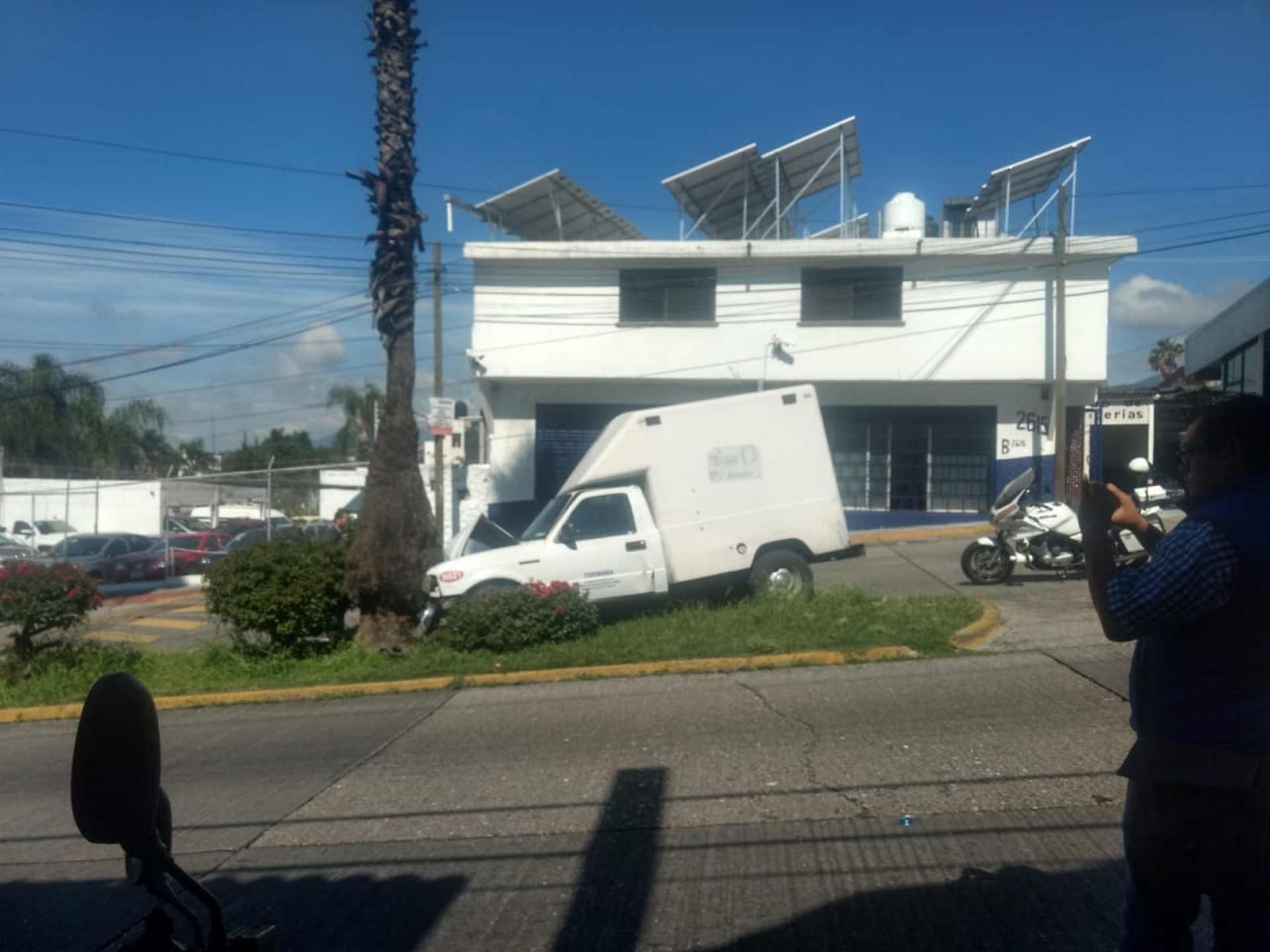 Se impacta camioneta contra palmera