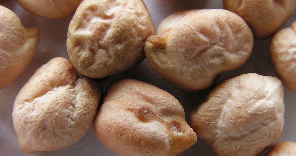 El poder de… el garbanzo
