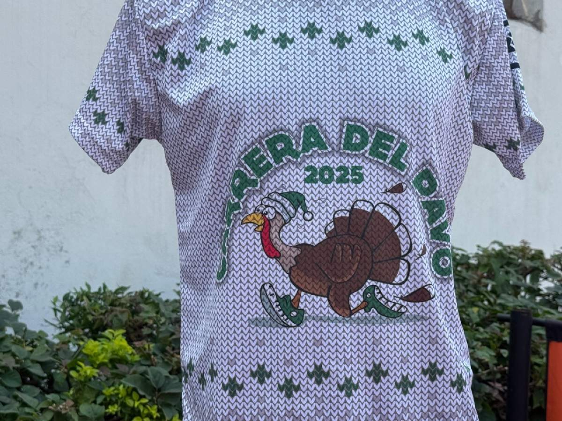 Correrán por un pavo en Tlaltizapán