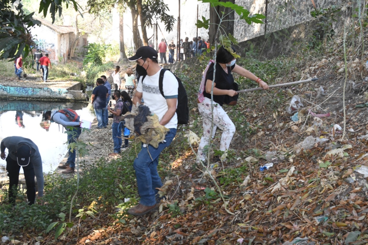 Rescatan humedales en zona del río Cuautla