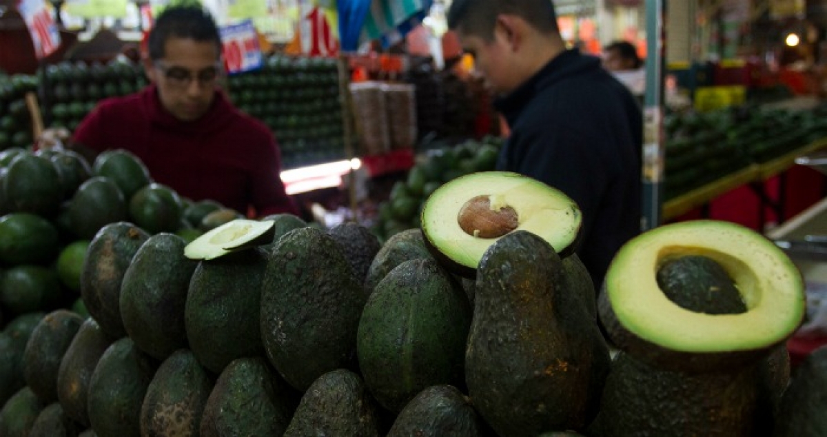 El aguacate sube a 80 pesos el kilo y el huevo a 48